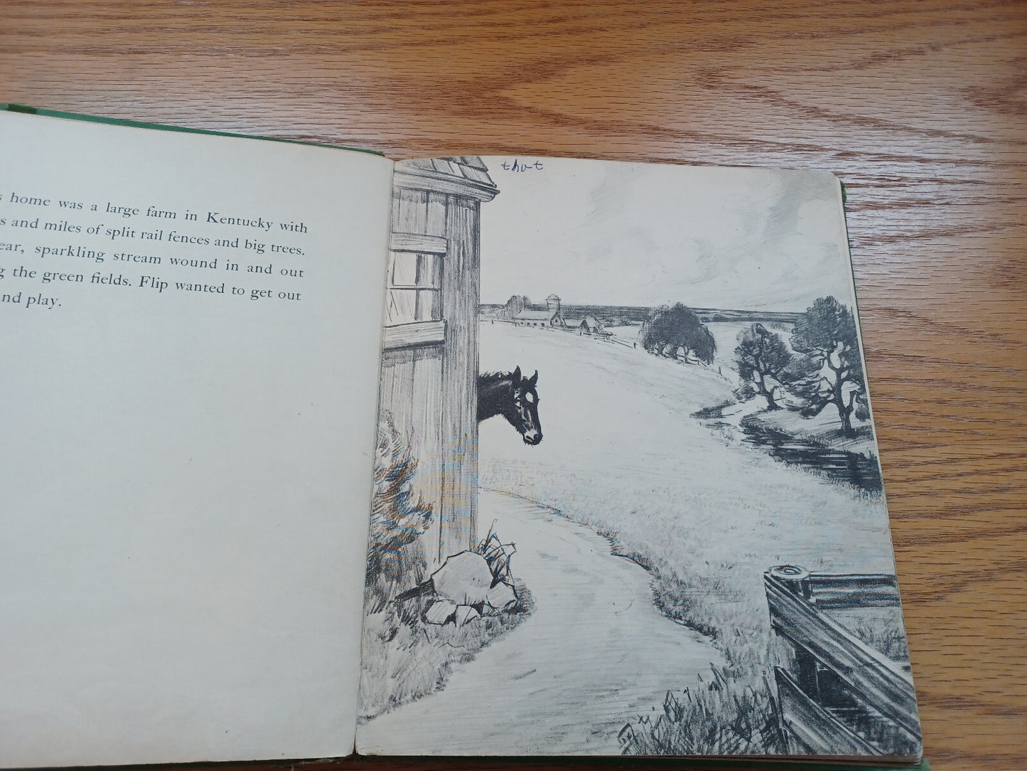 Image #10