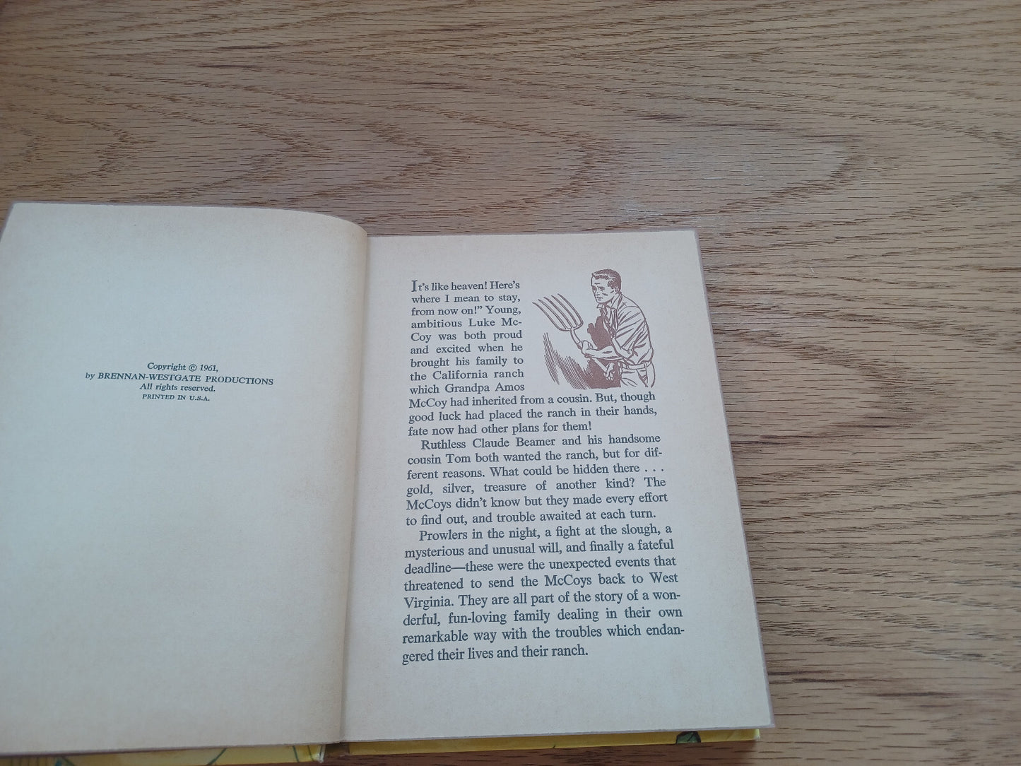 Image #8