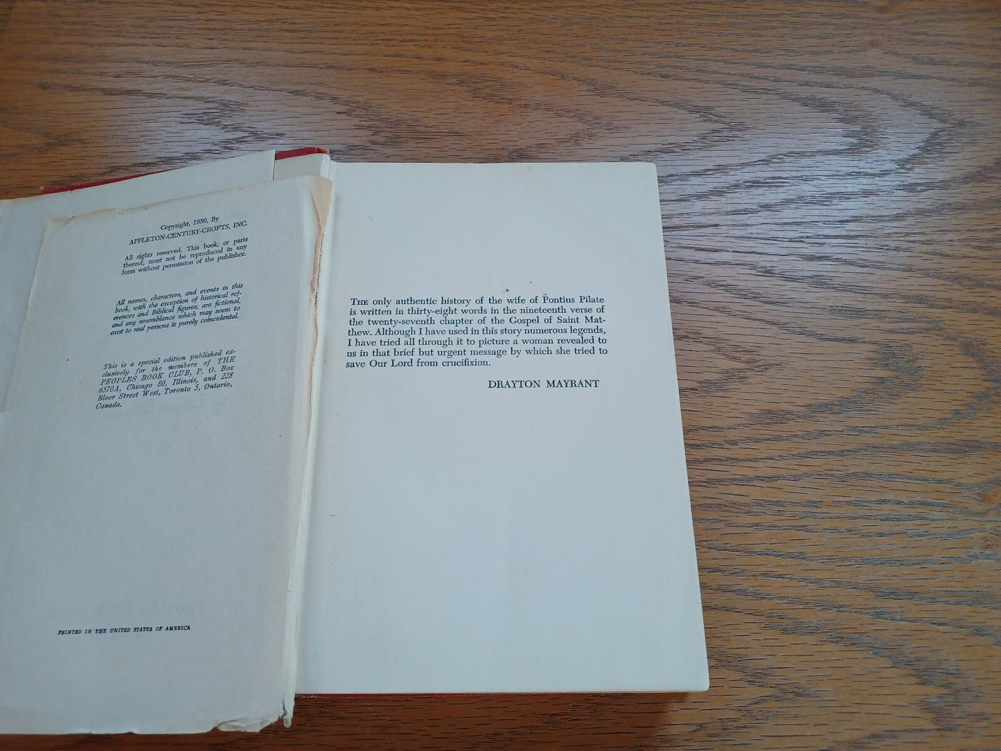Image #8