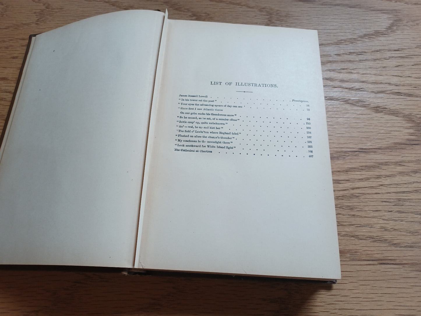 Image #12