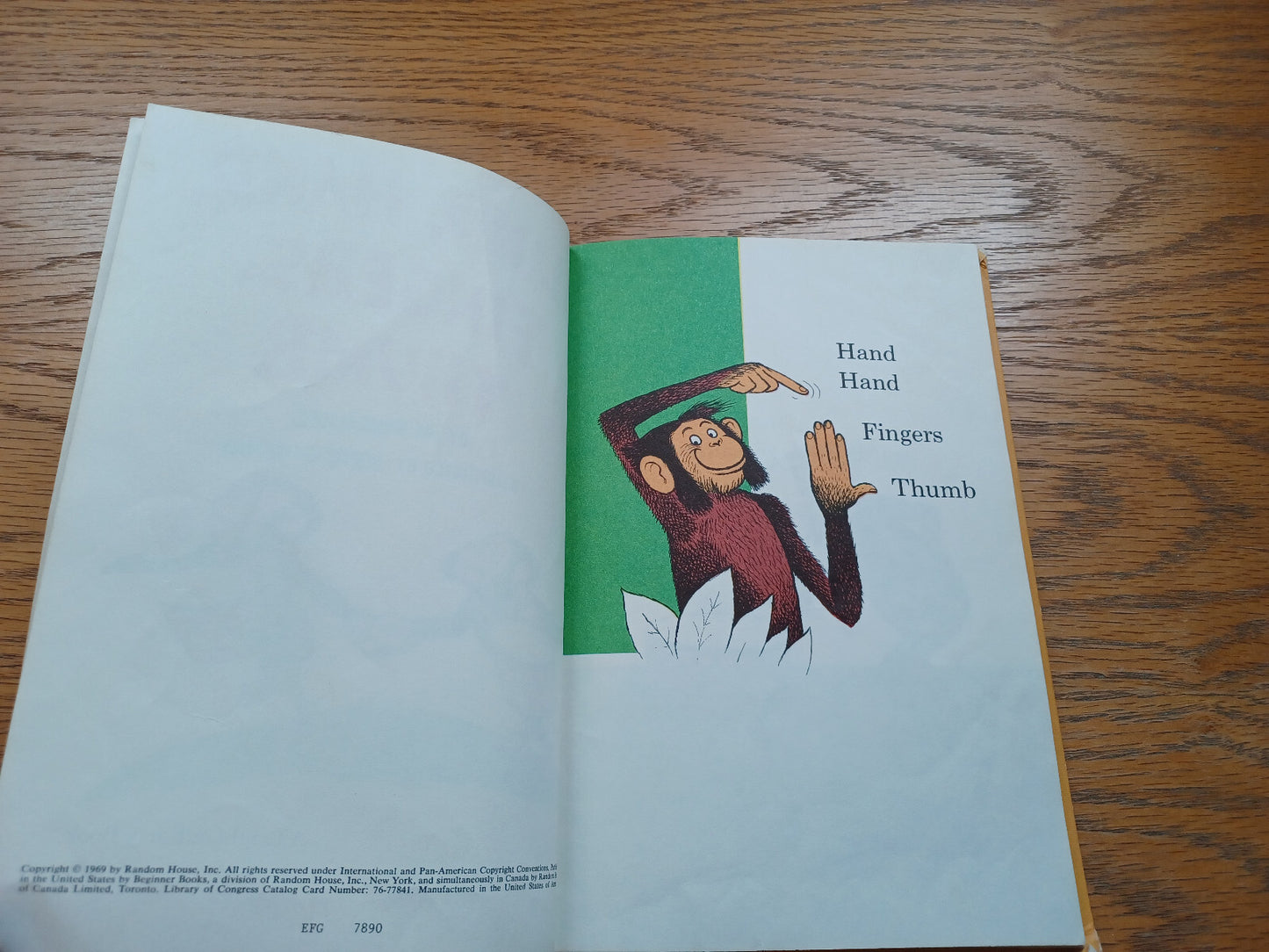 Image #8