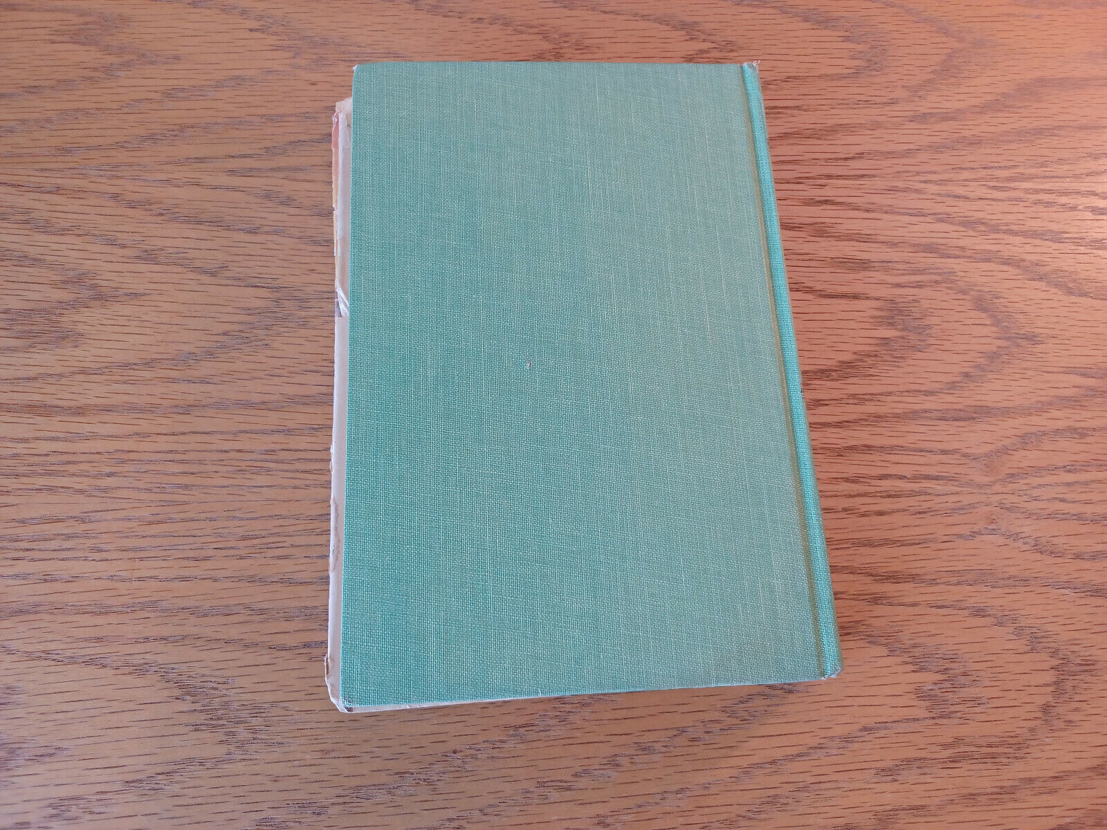 Image #6