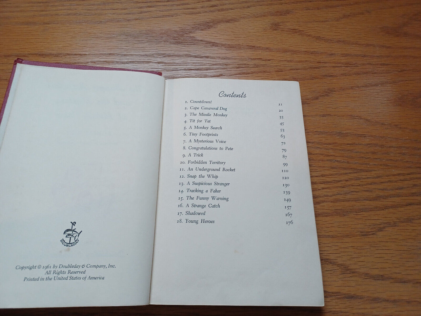 Image #8