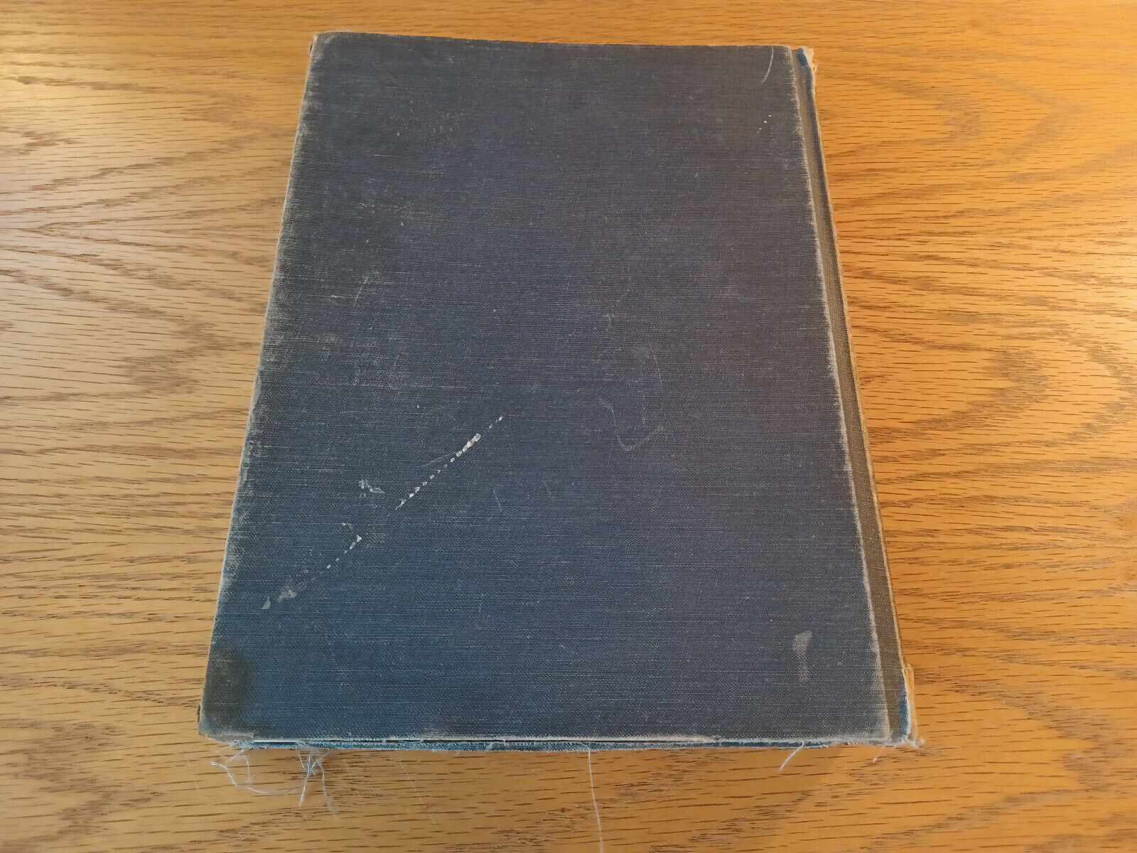 Image #6