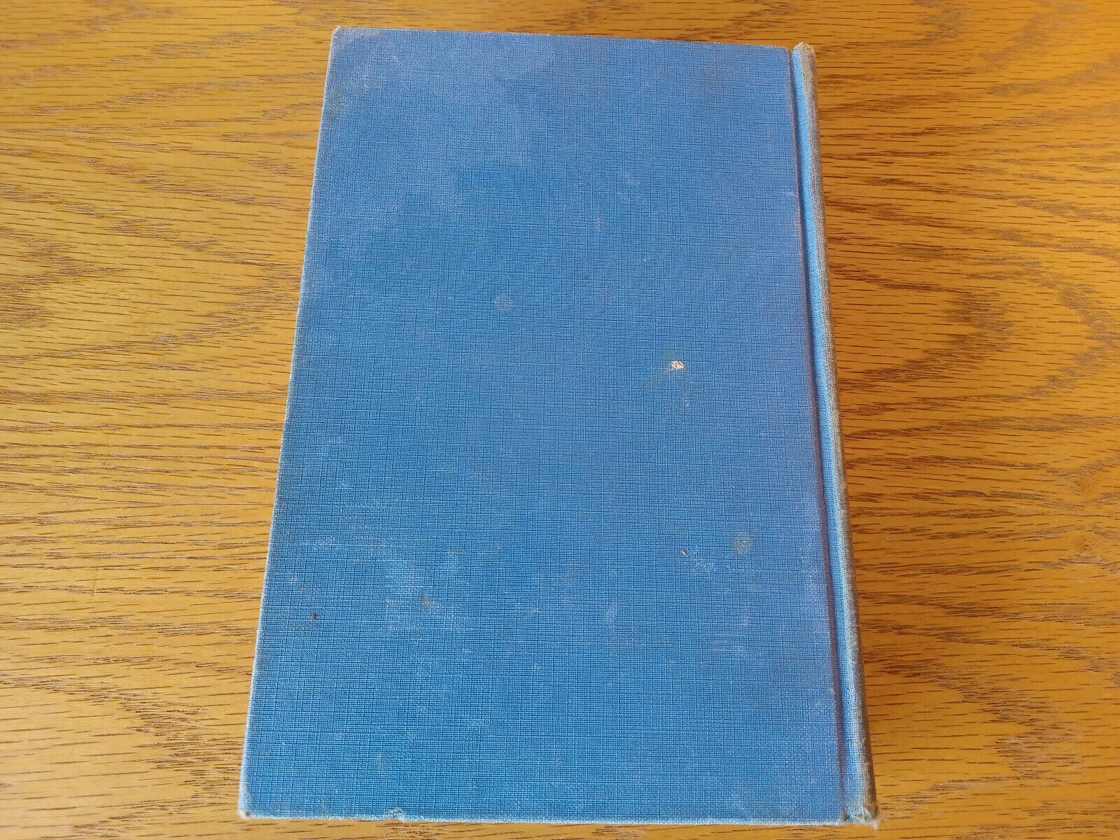 Image #6