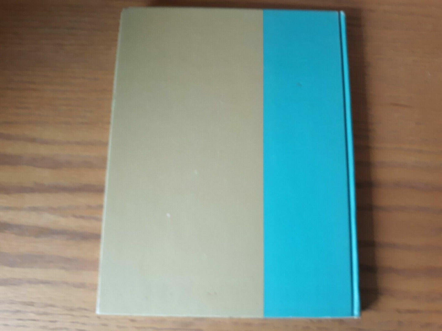 Image #6