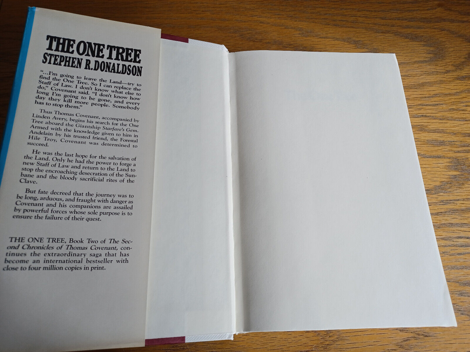 Image #7