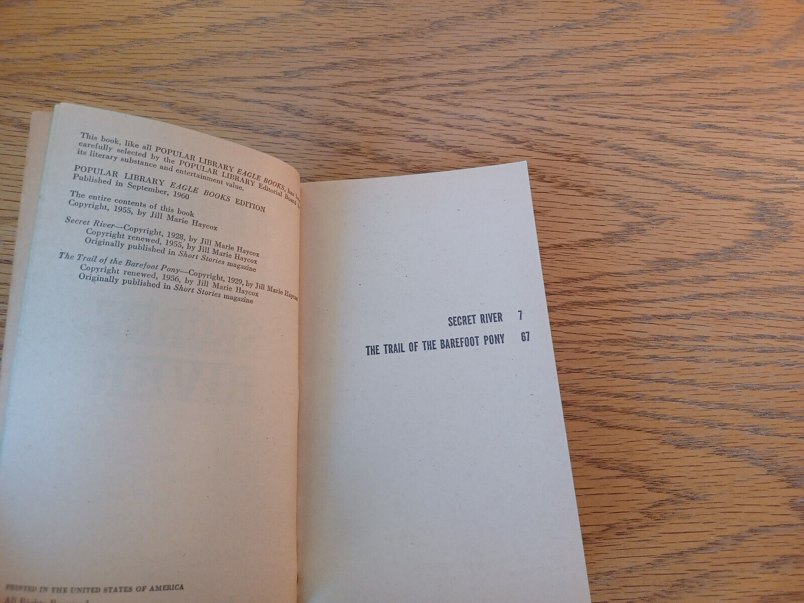 Image #8