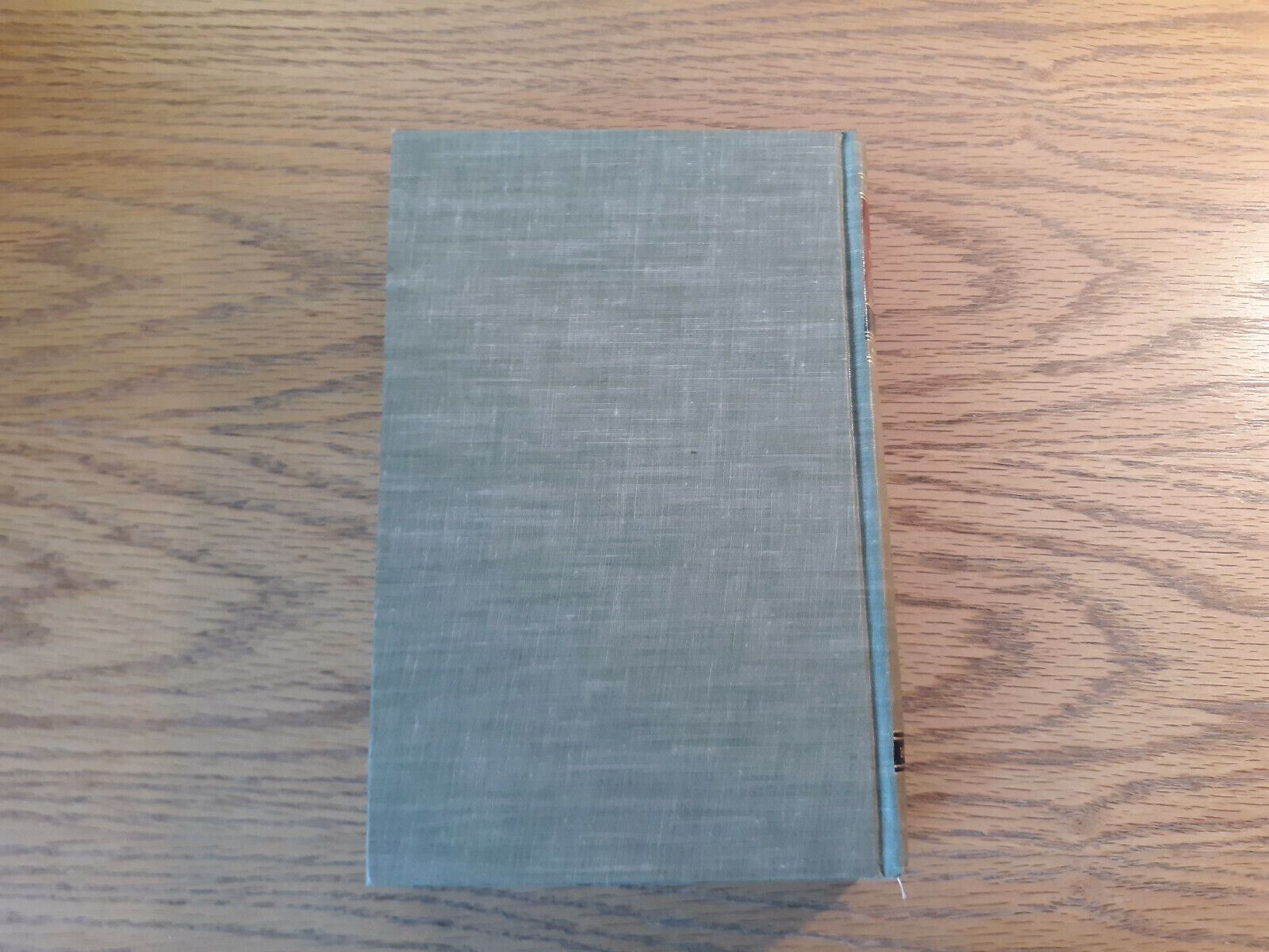 Image #6
