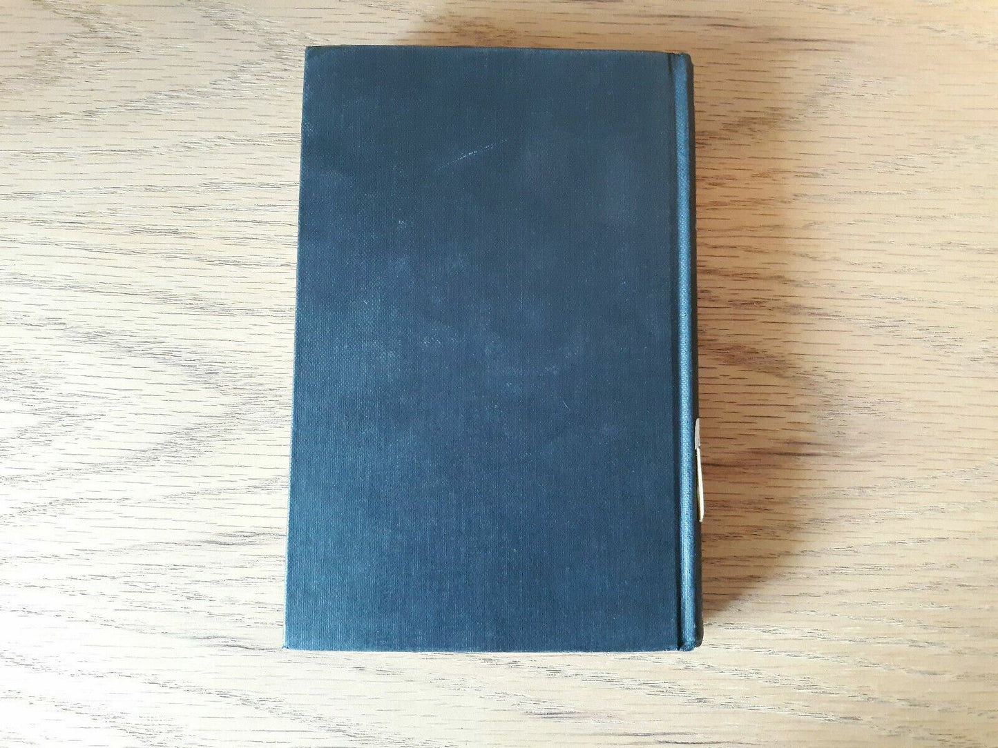 Image #6