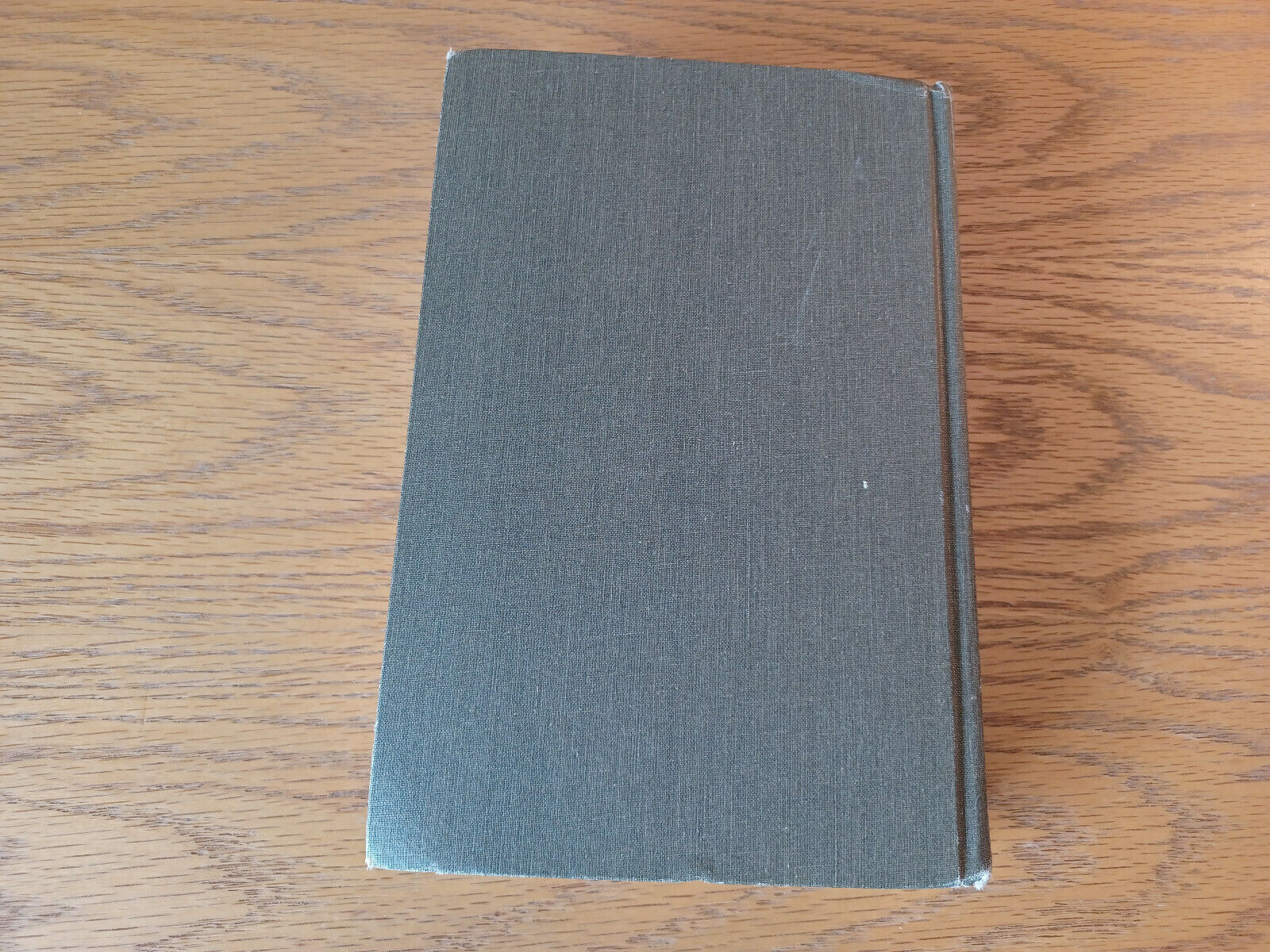 Image #6