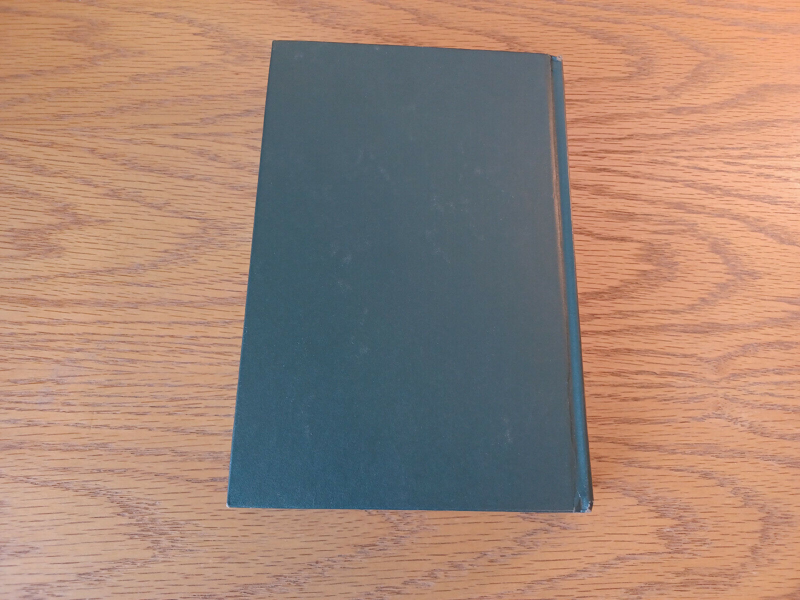 Image #6