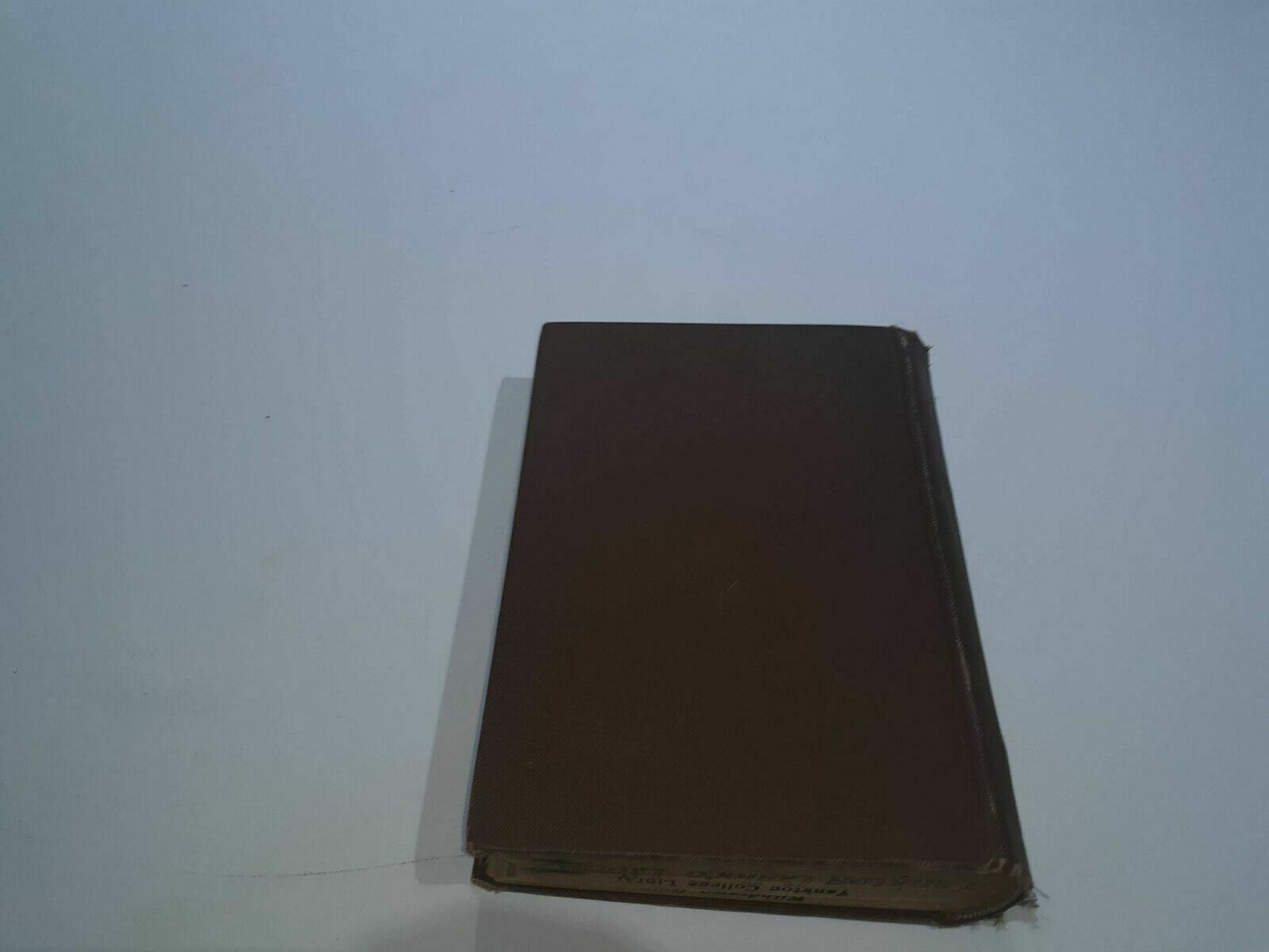 Image #7