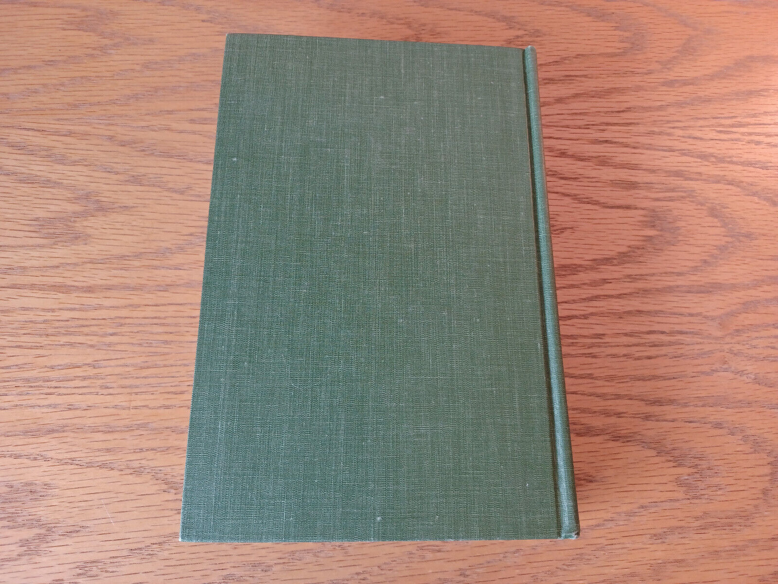 Image #6
