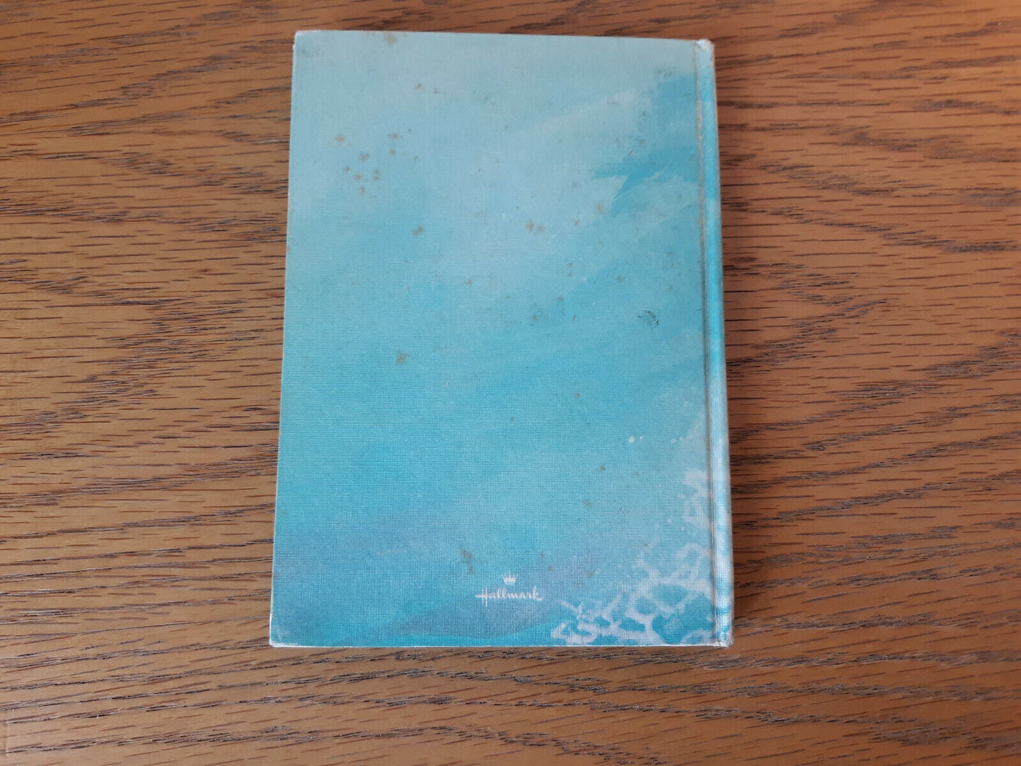 Image #6