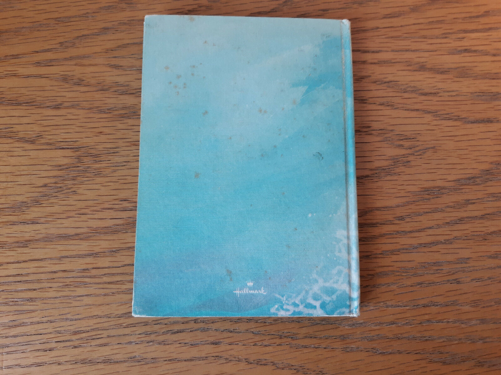 Image #6