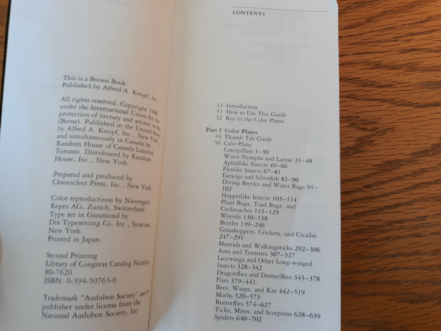 Image #8
