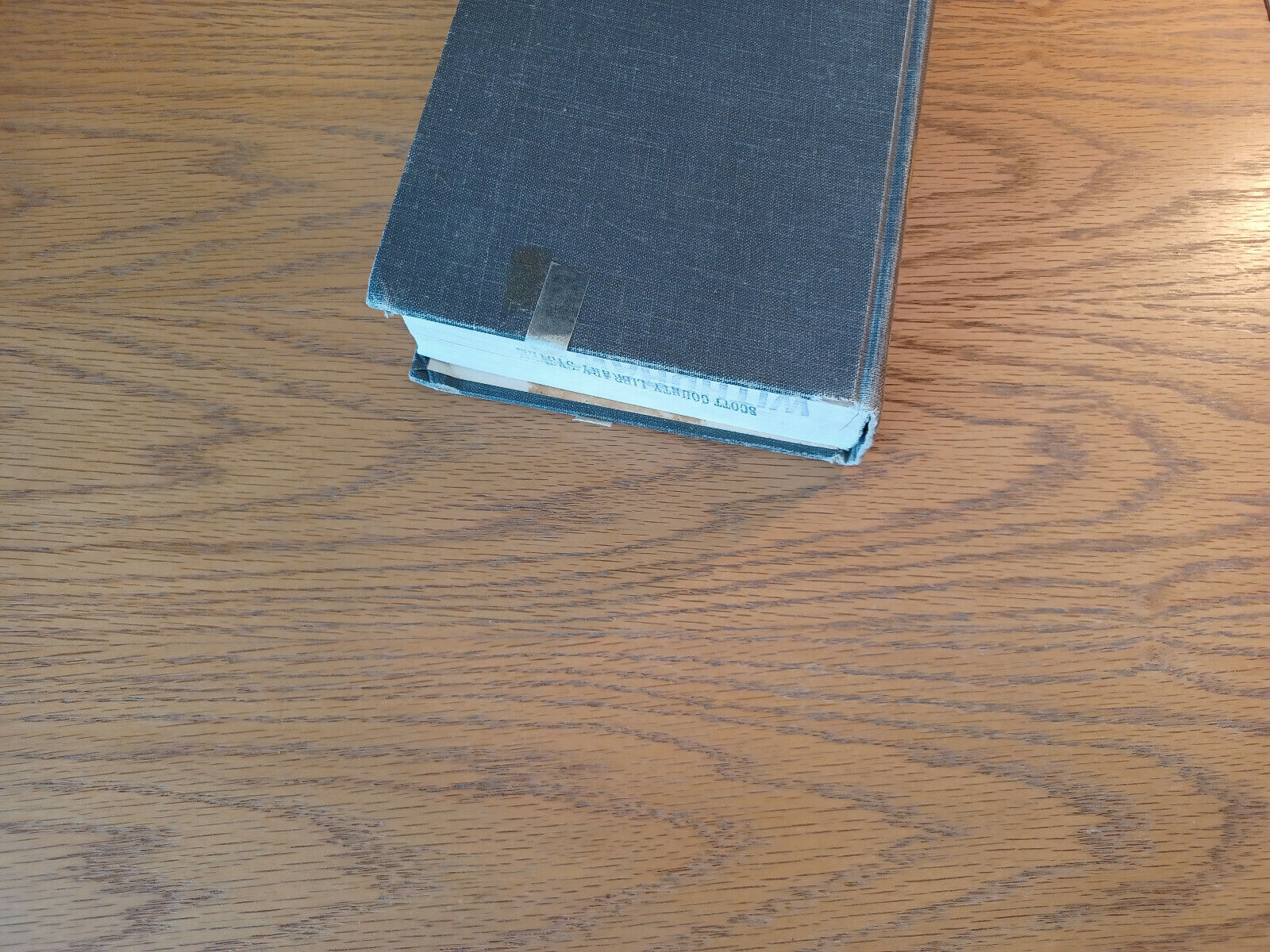 Image #4