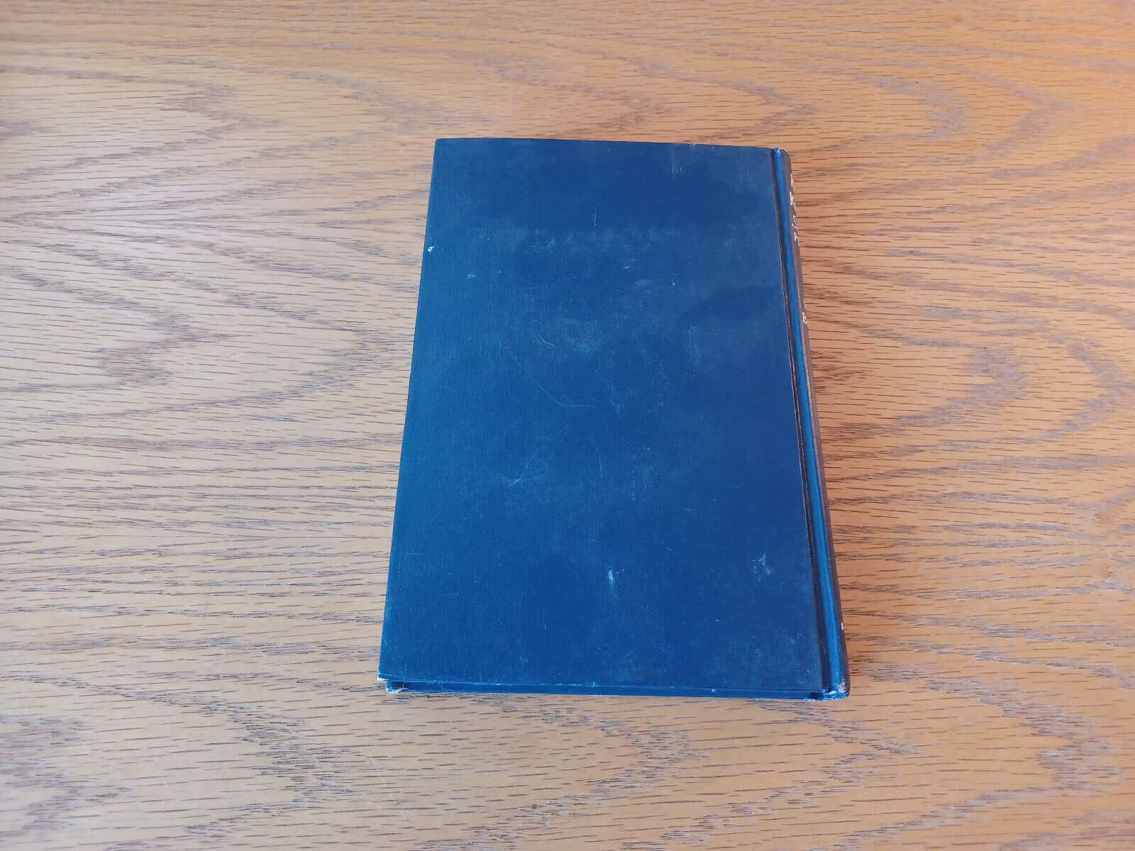 Image #6