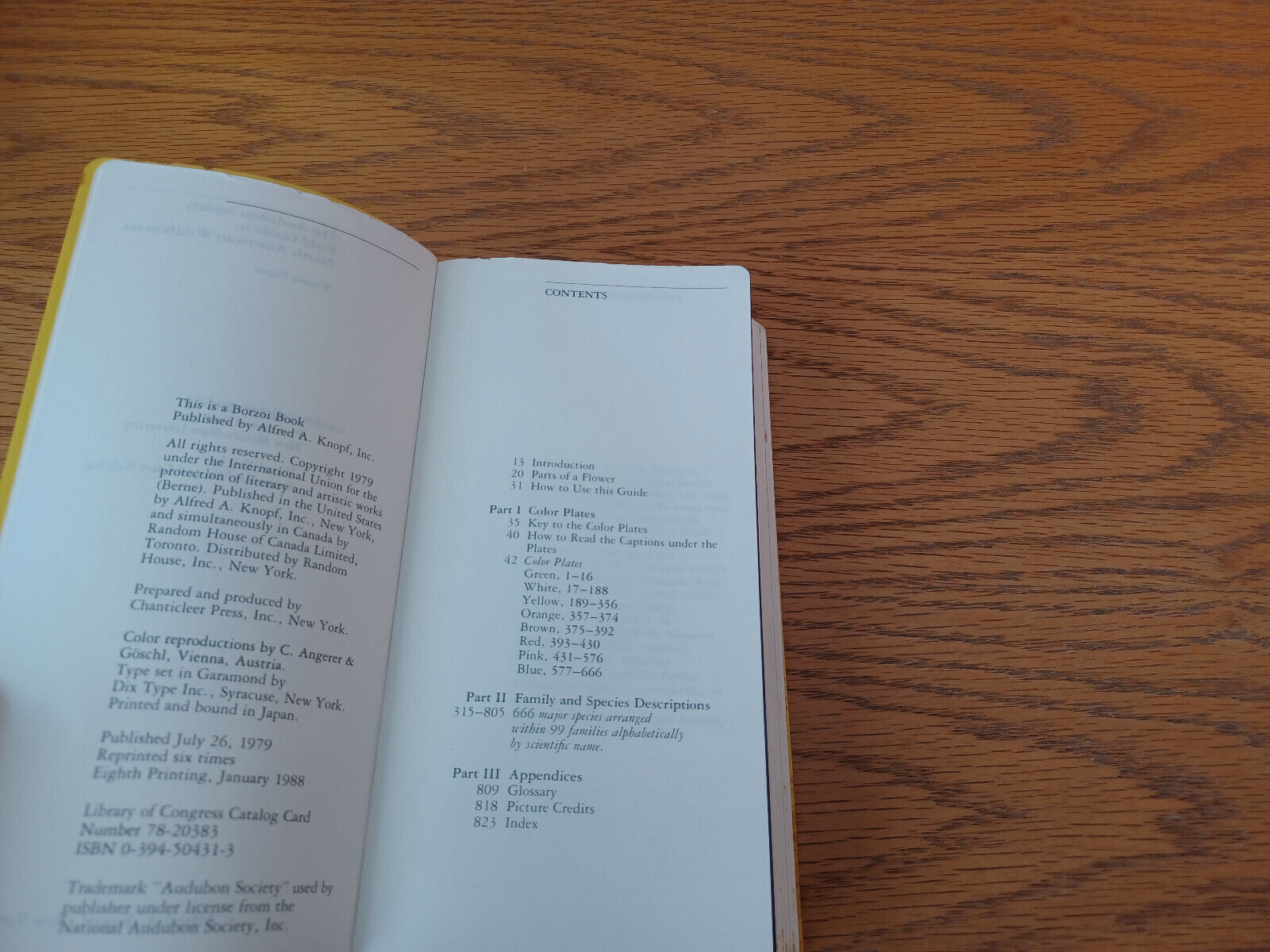 Image #8