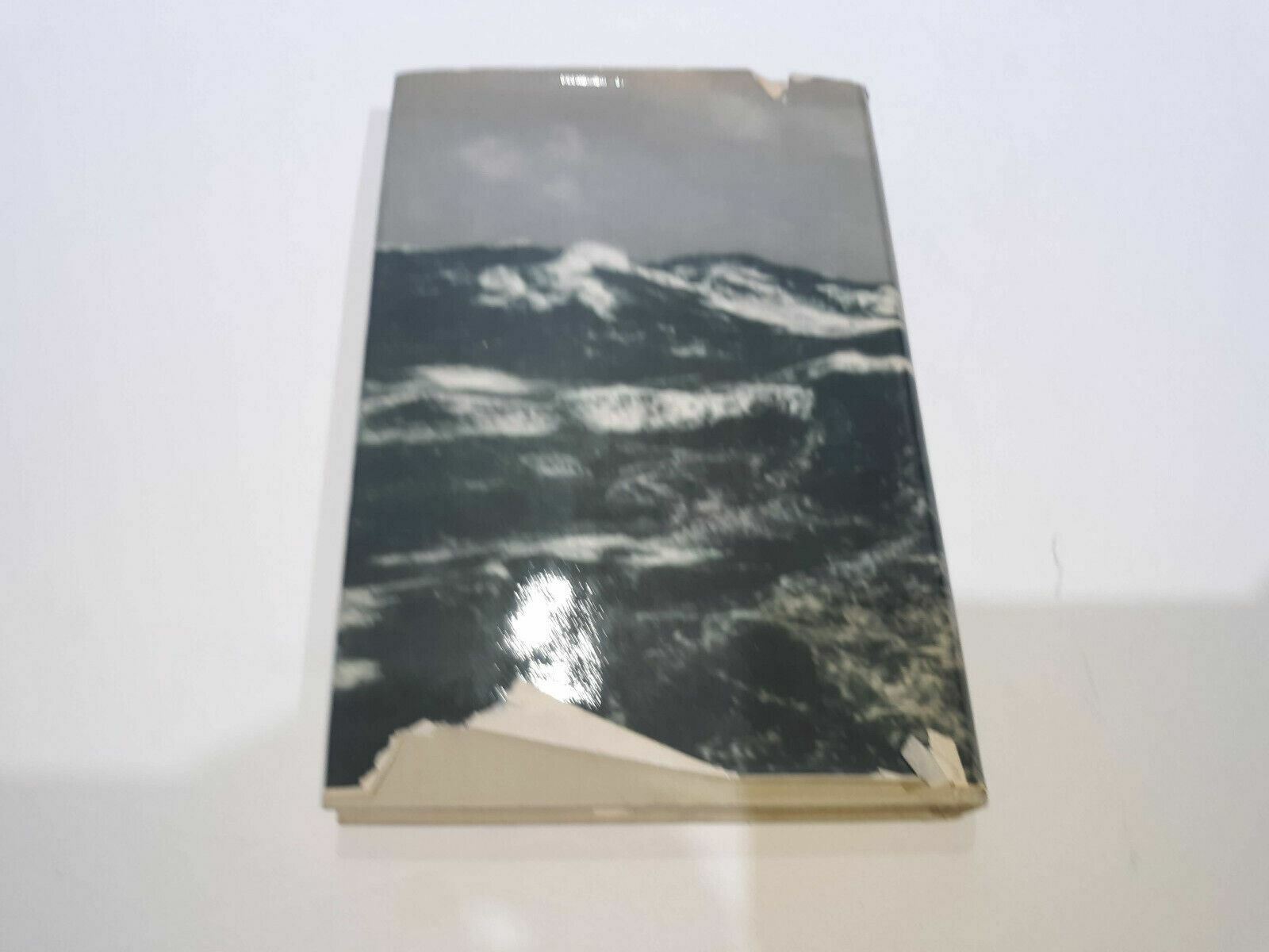 Image #7