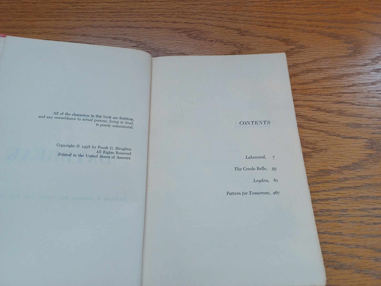 Image #8