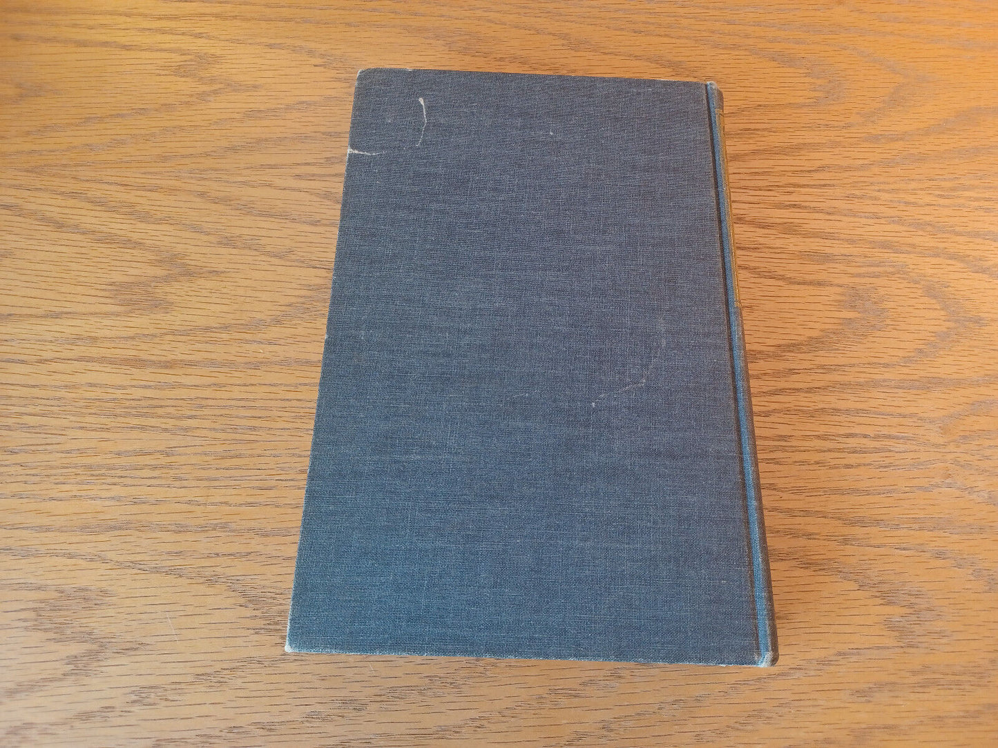 Image #6