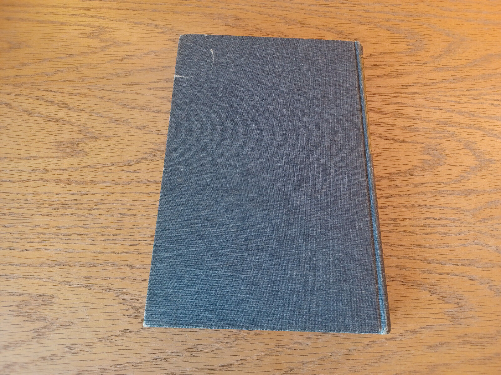 Image #6