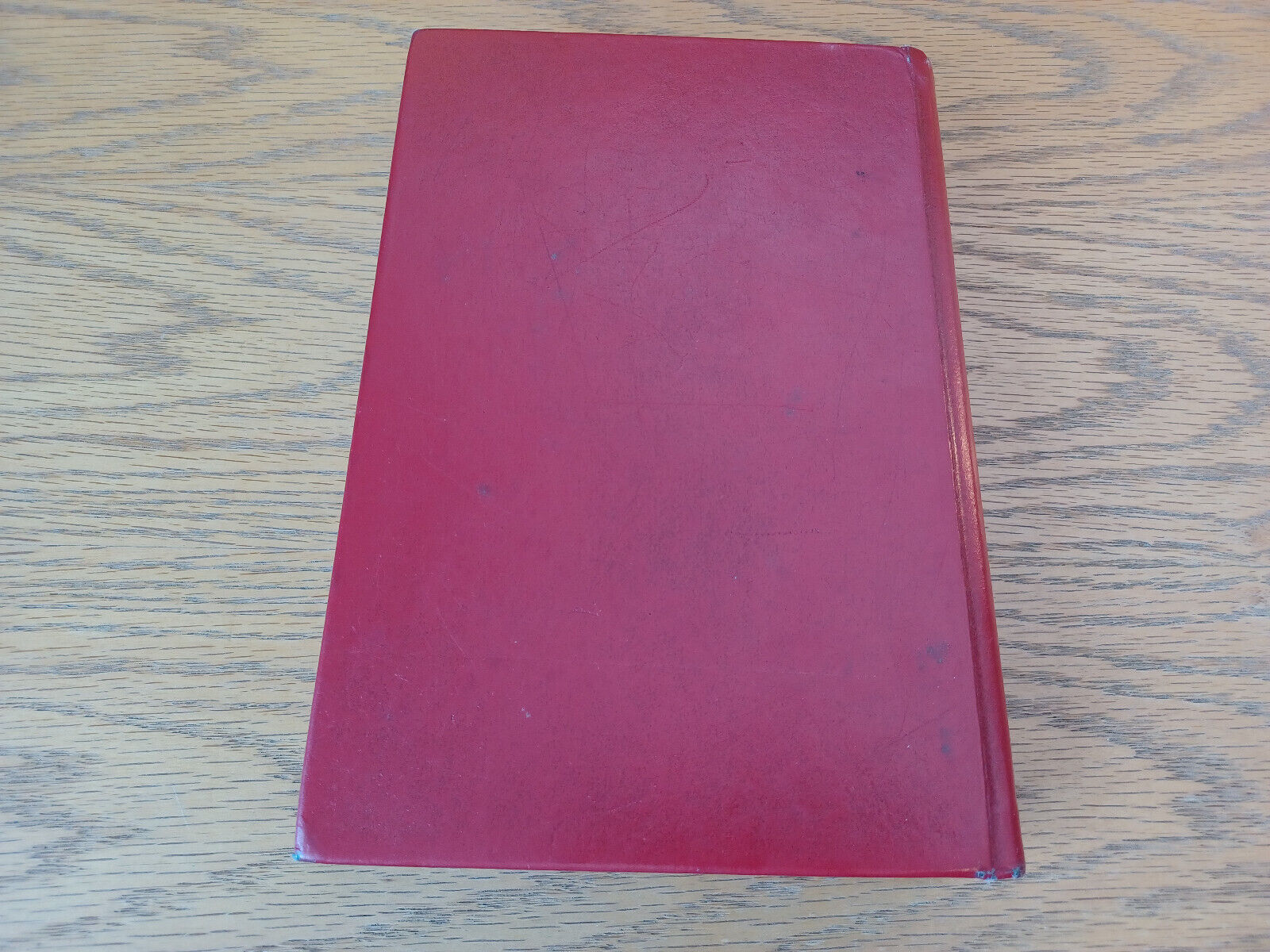 Image #6
