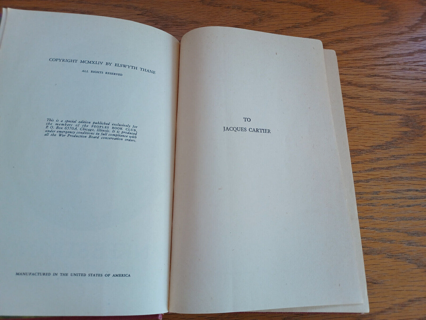 Image #8