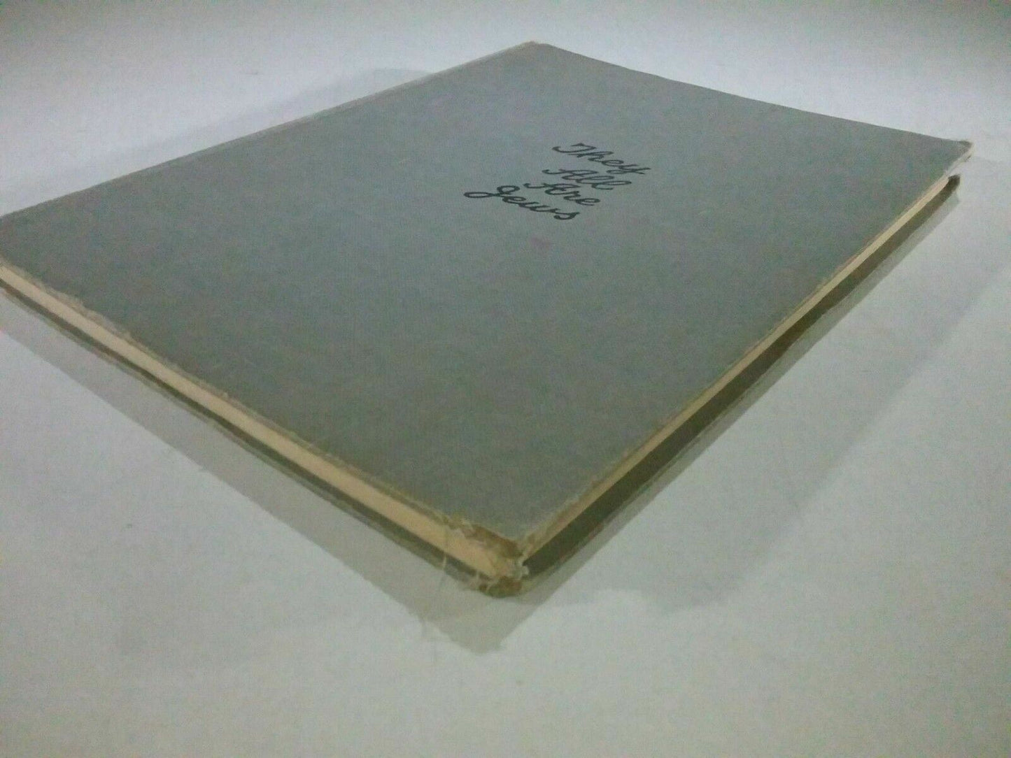 Image #4