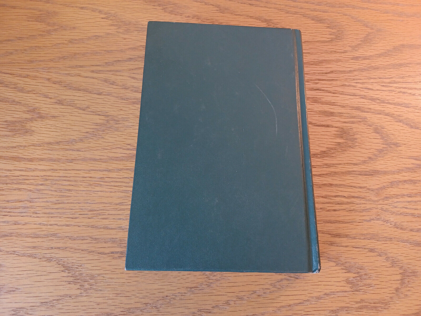 Image #6