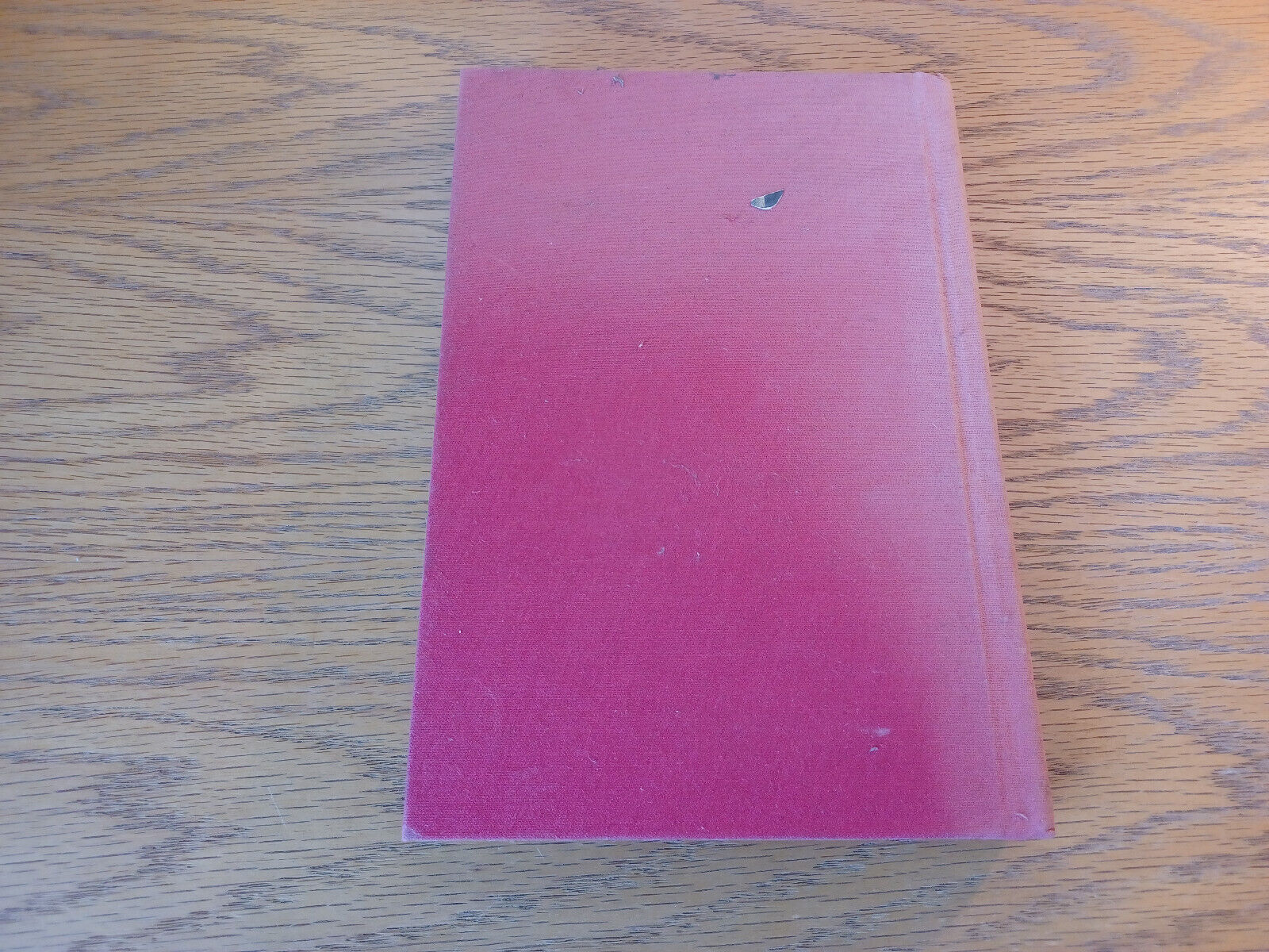 Image #6