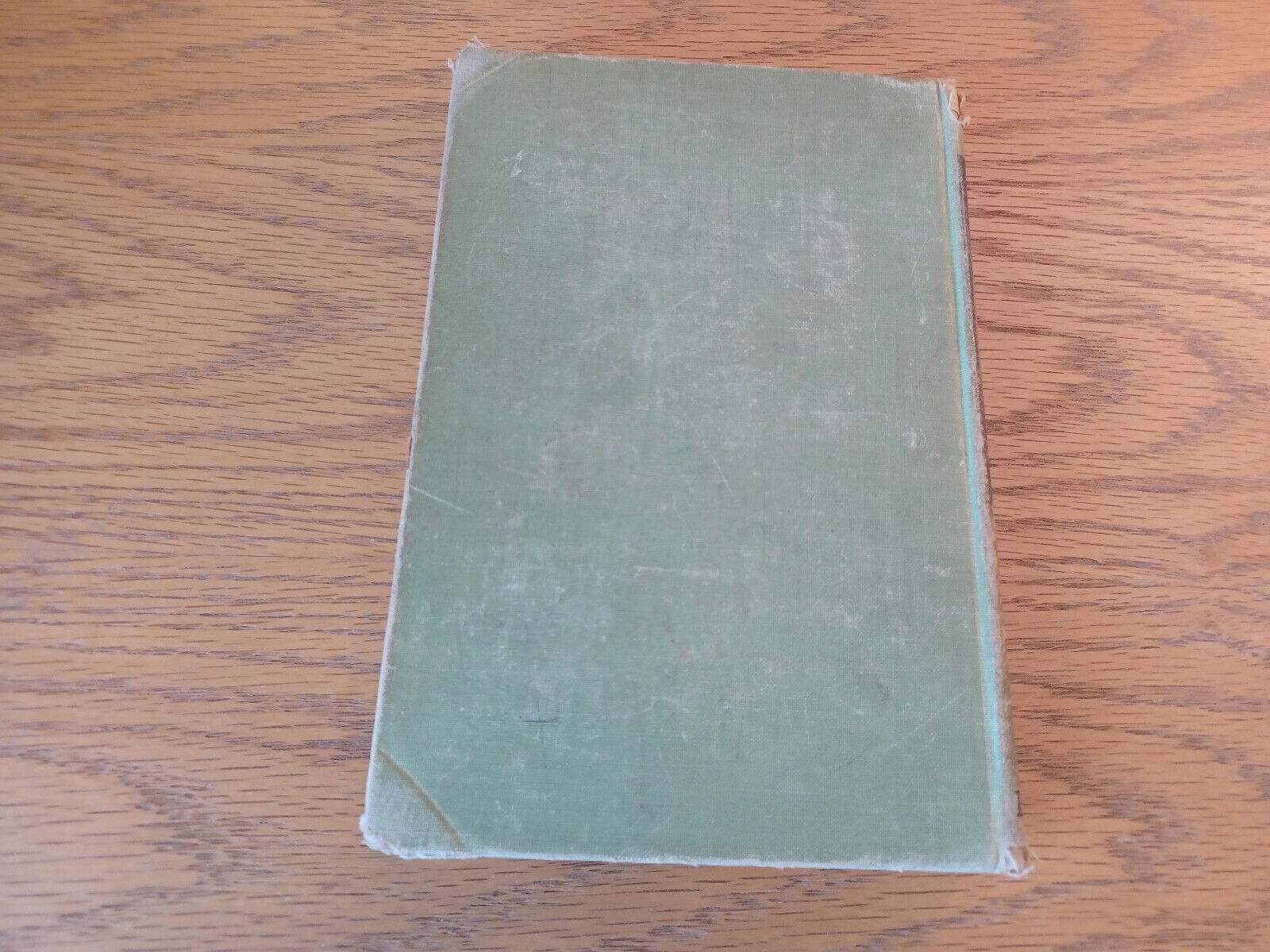Image #6