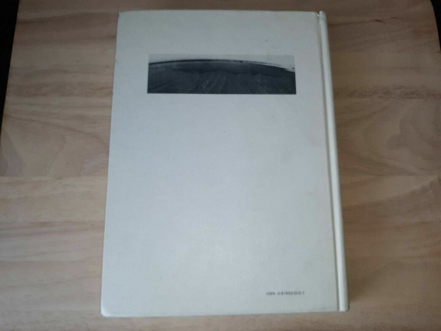 Image #6