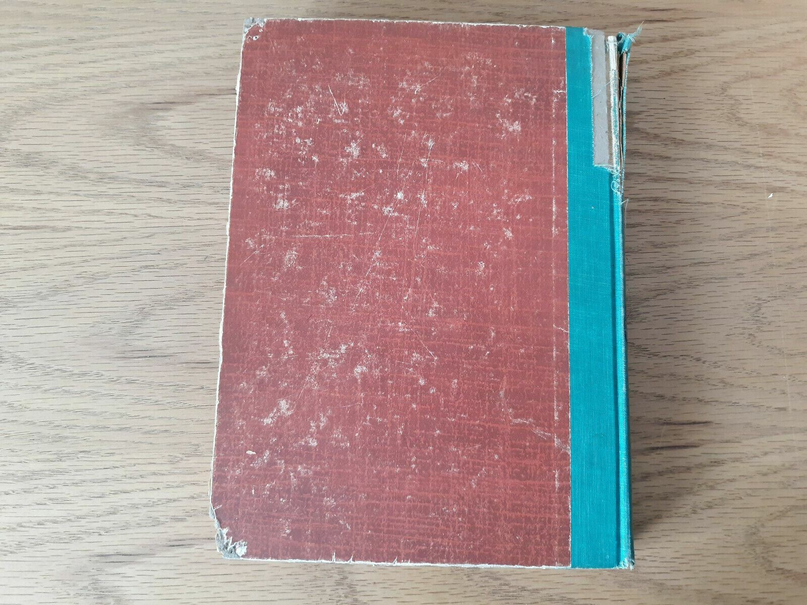 Image #6