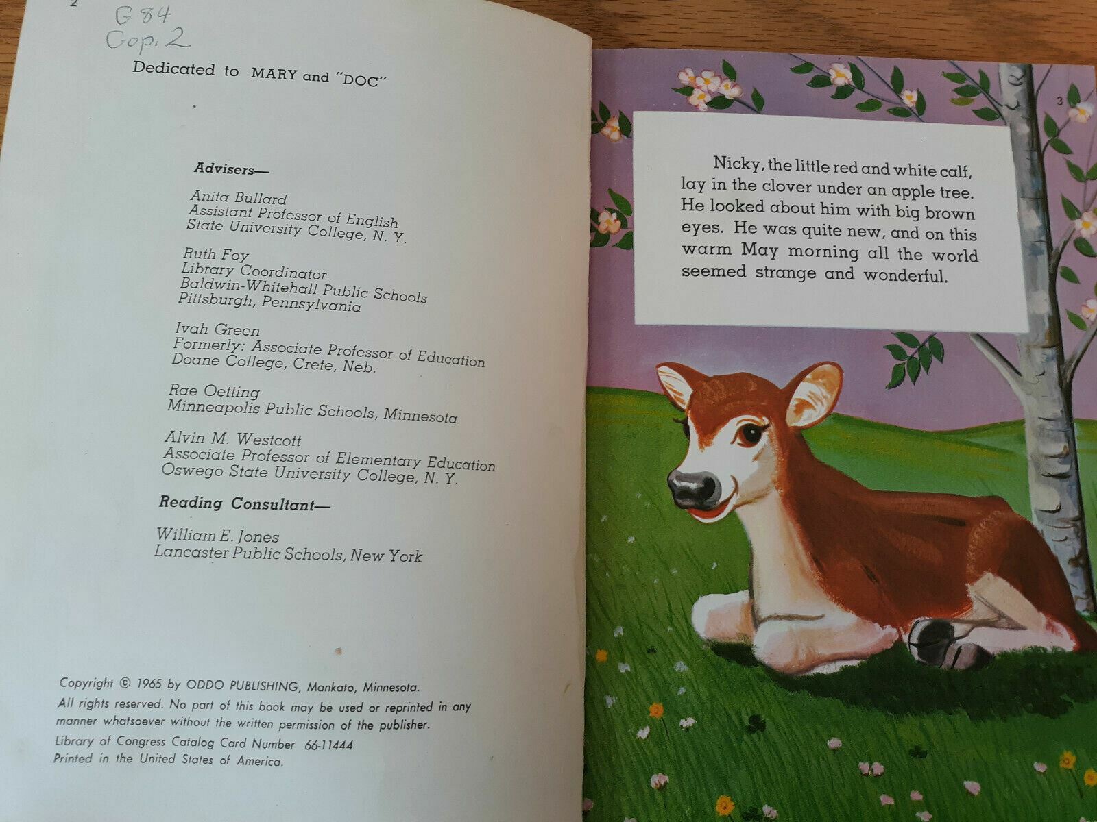 Image #8