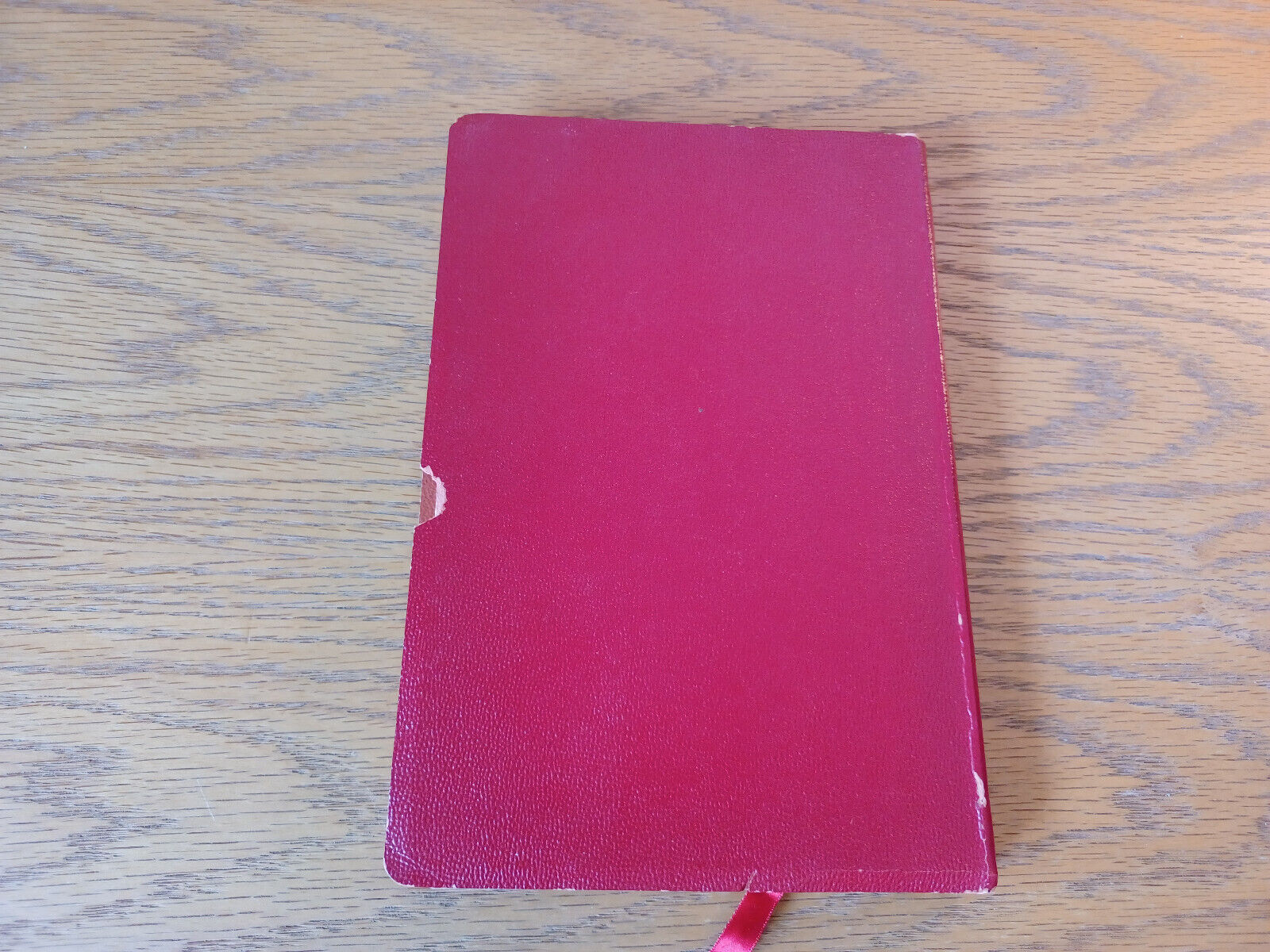 Image #6