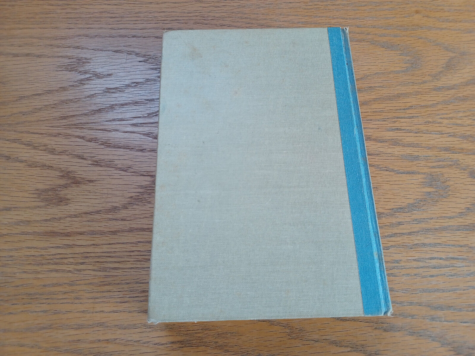 Image #6