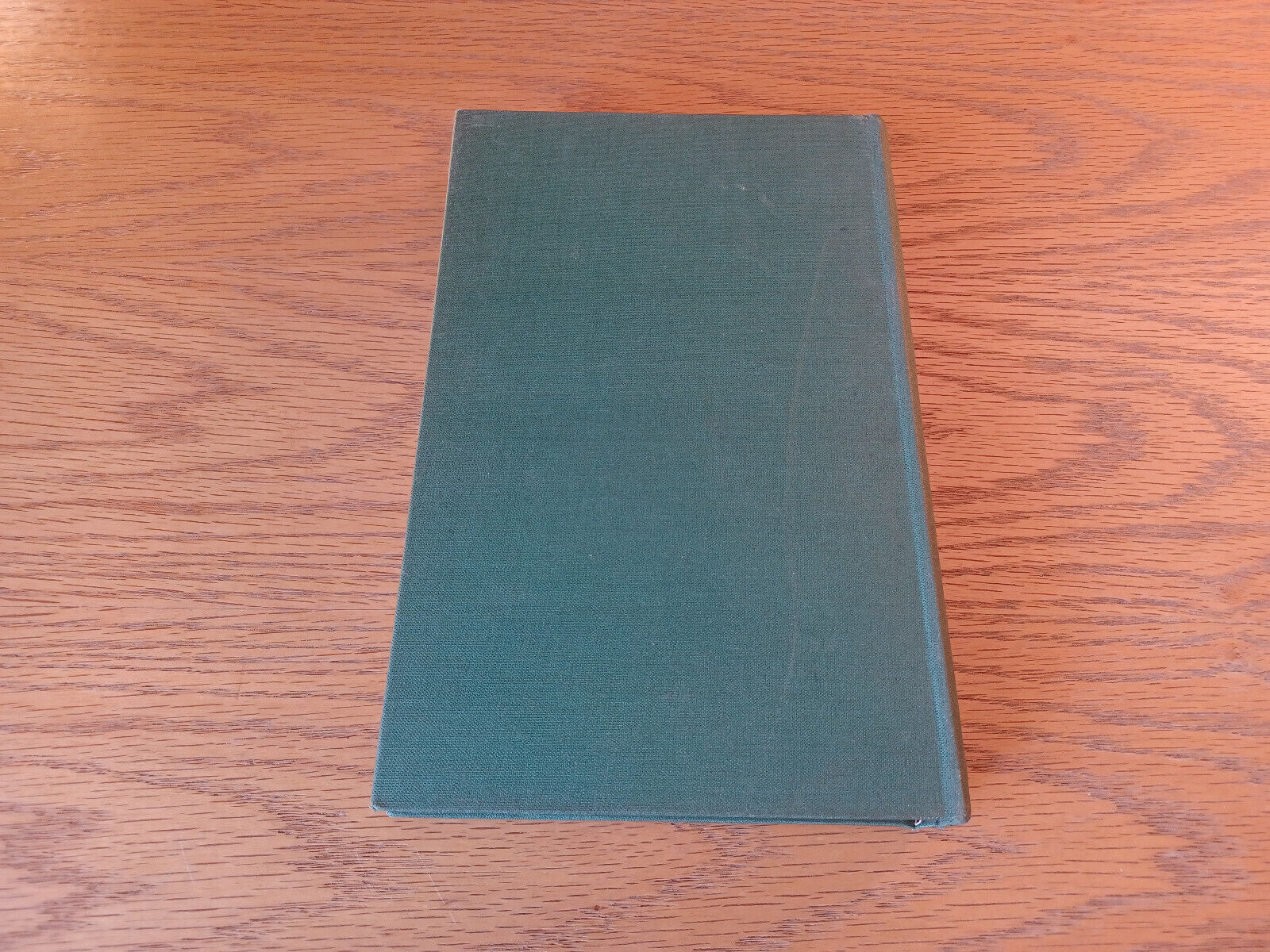 Image #6