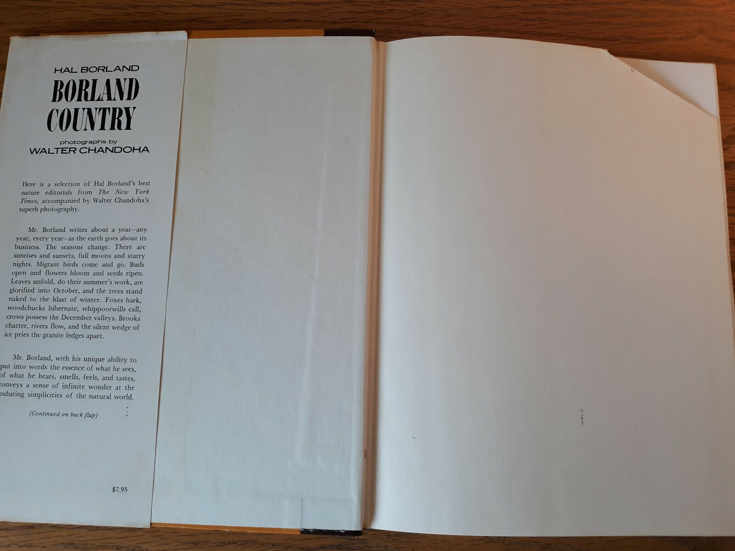 Image #7