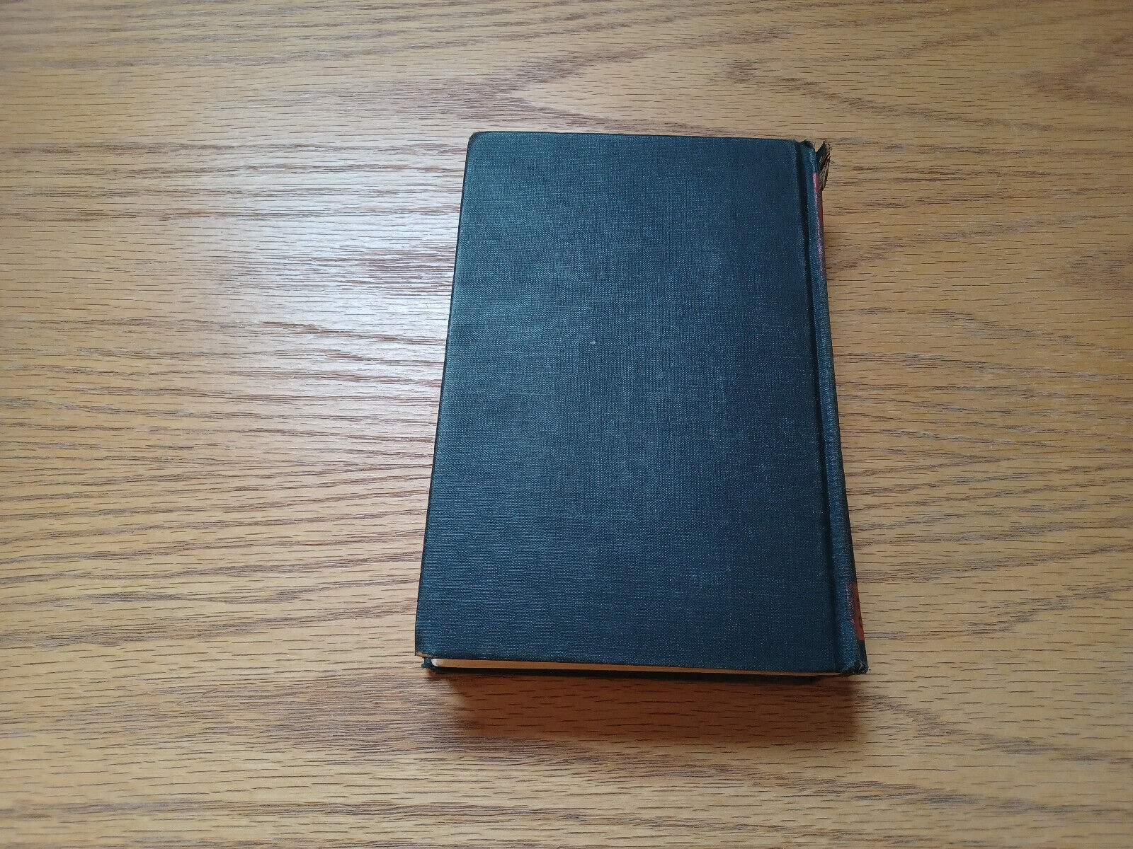 Image #6