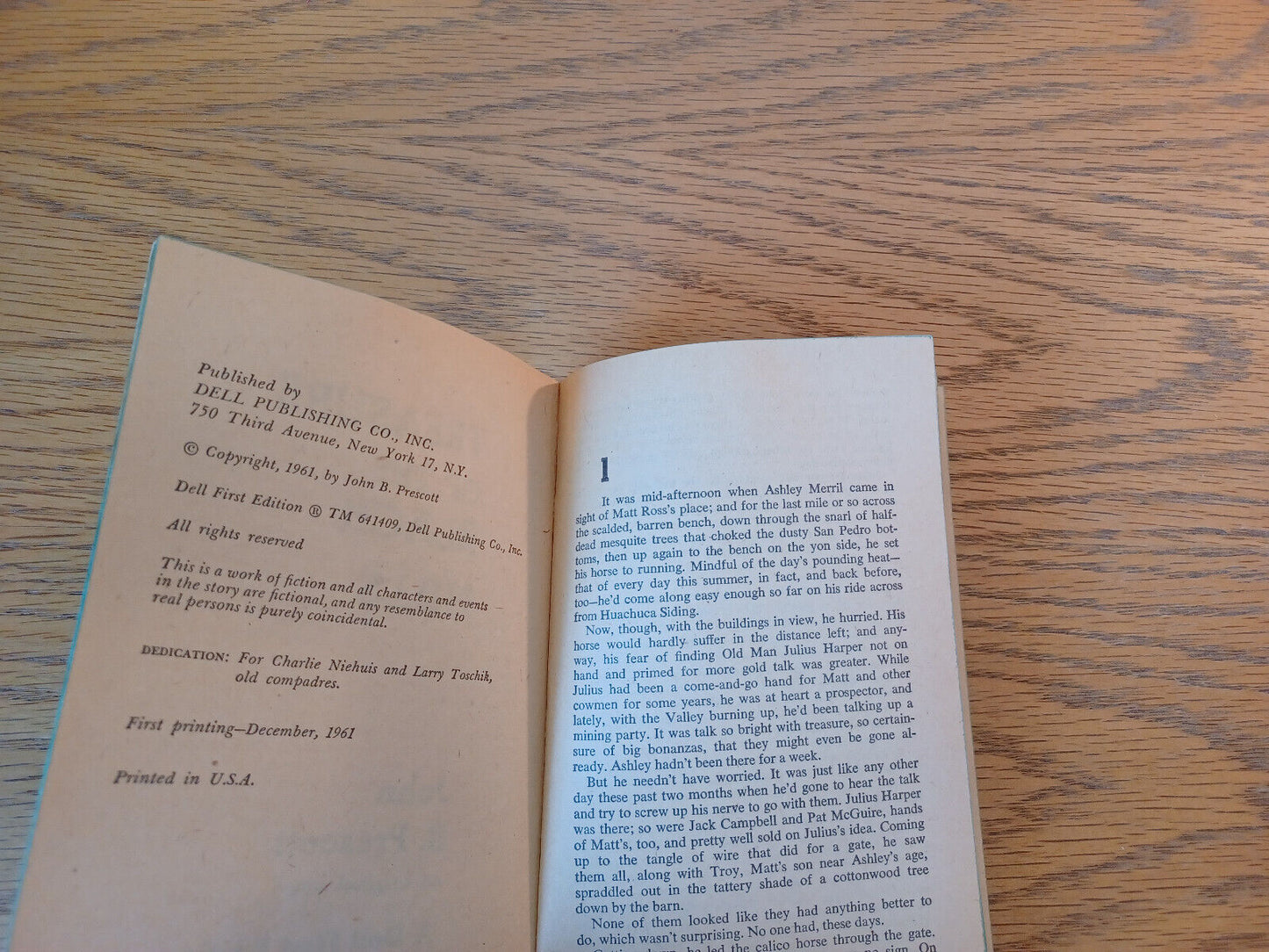 Image #8