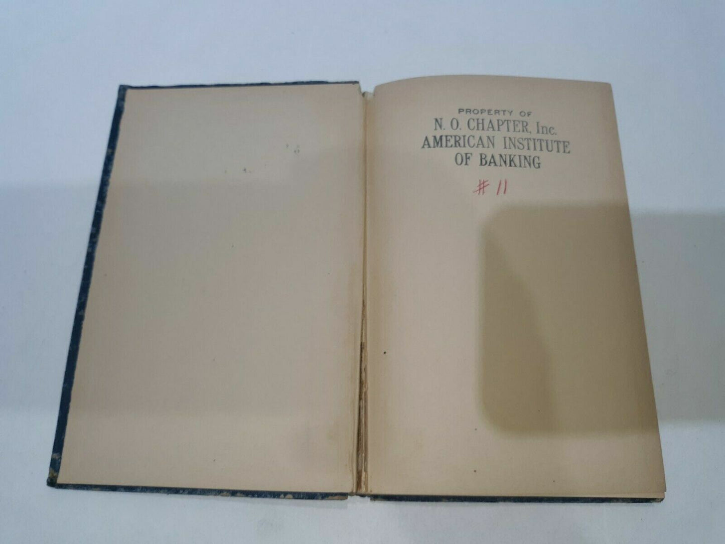 Image #7