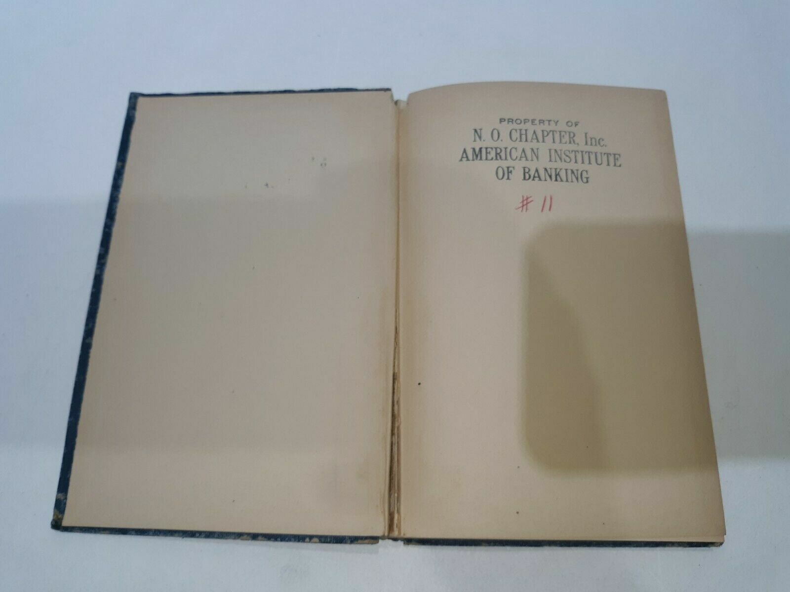 Image #7