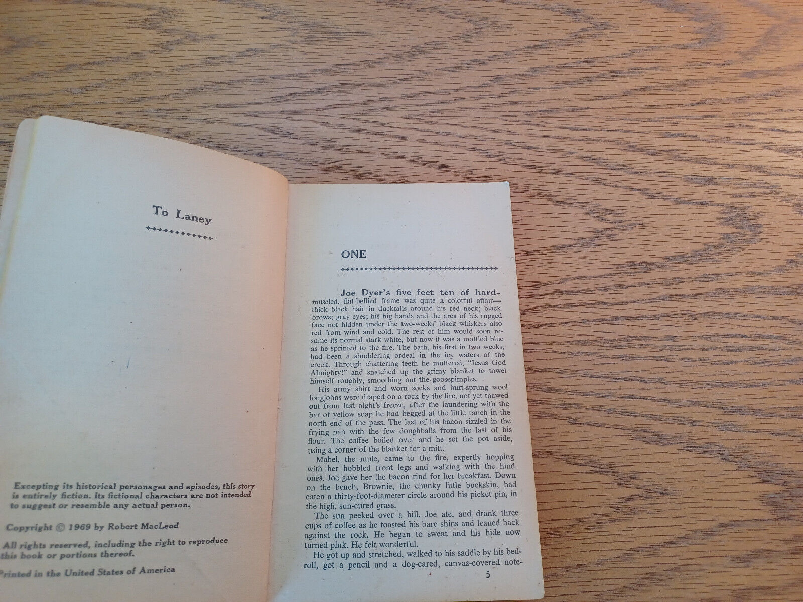Image #8
