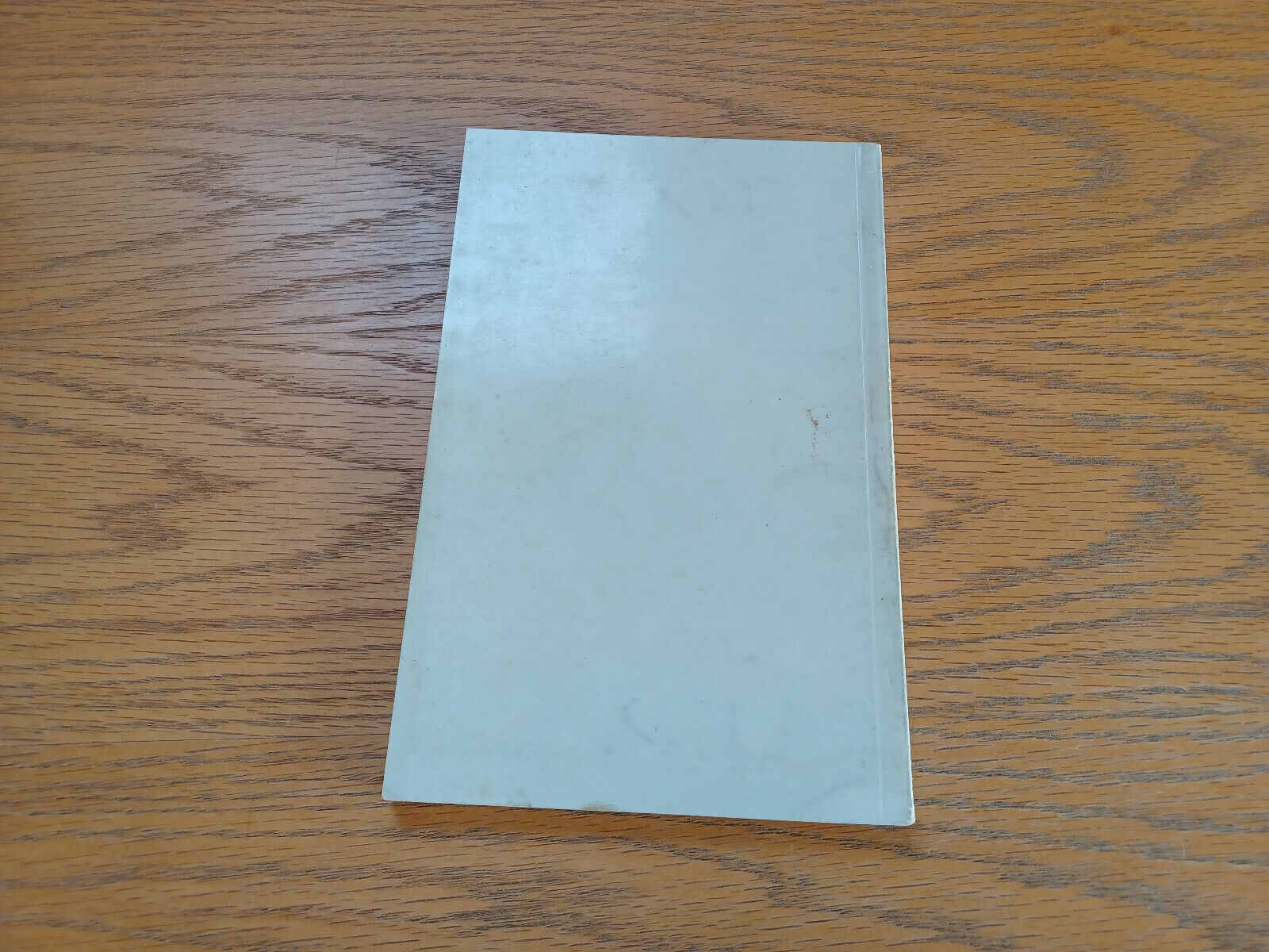 Image #6