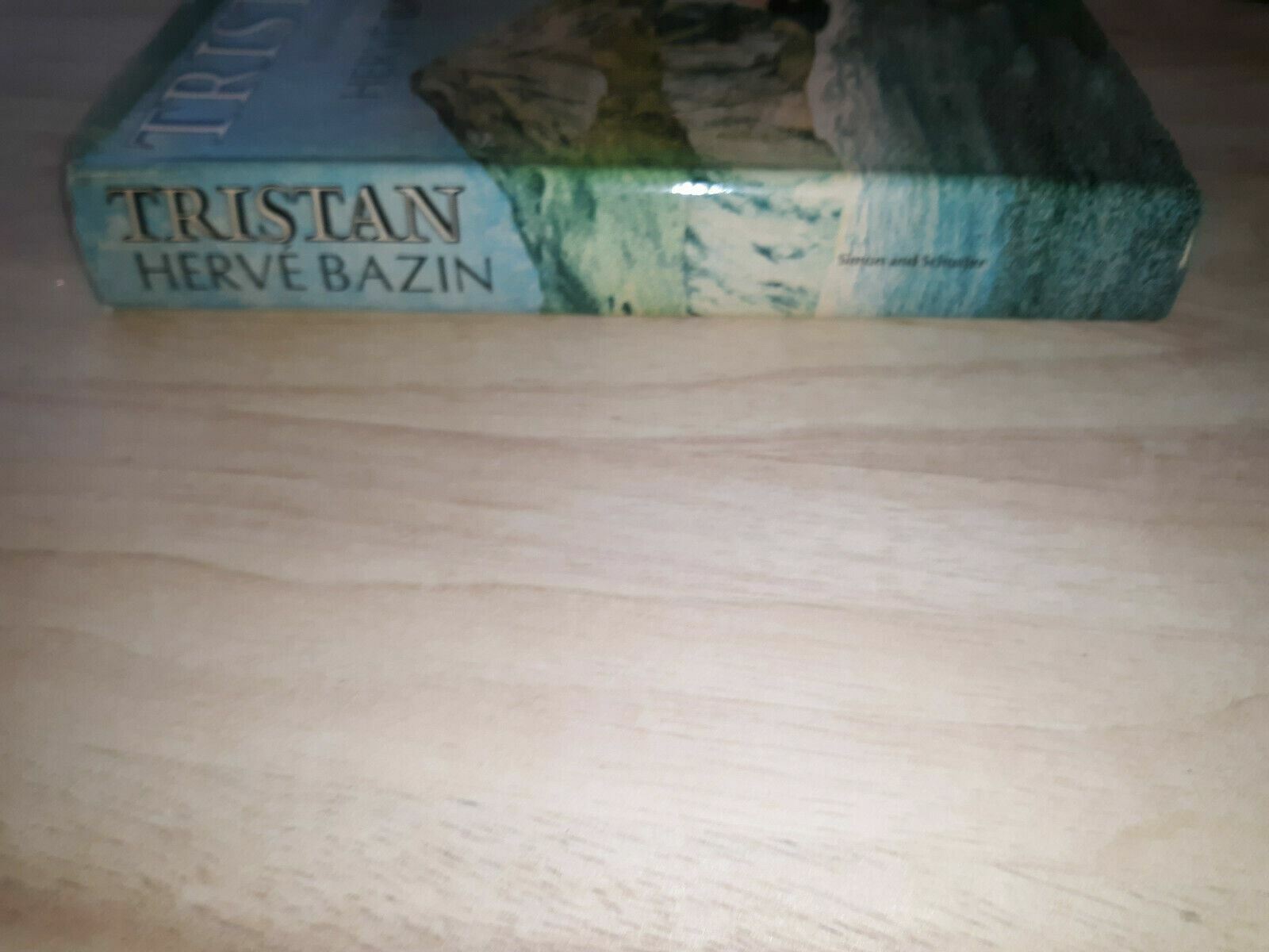 Image #5