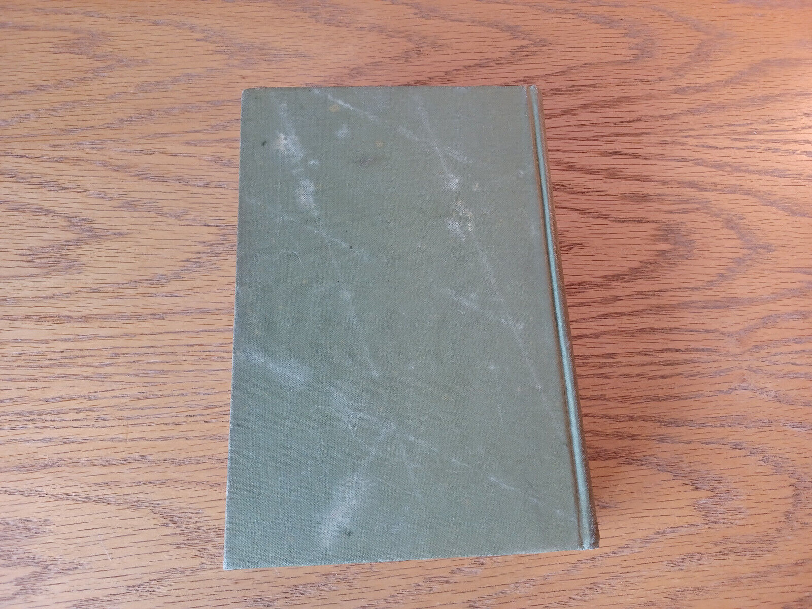 Image #6