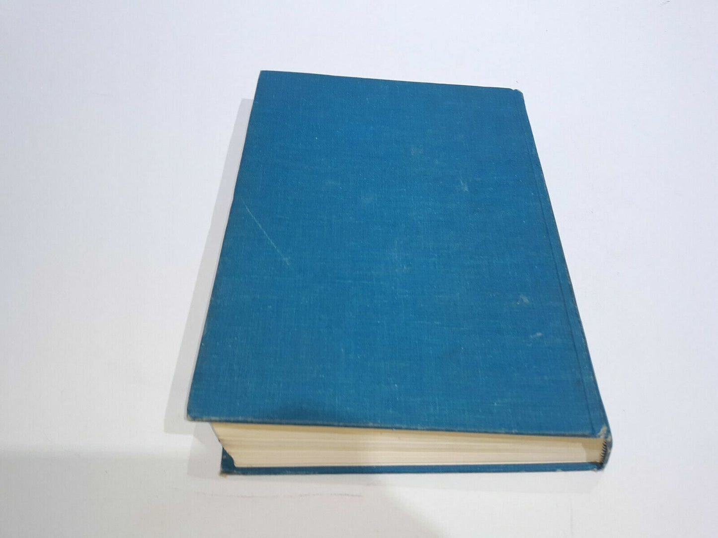 Image #7